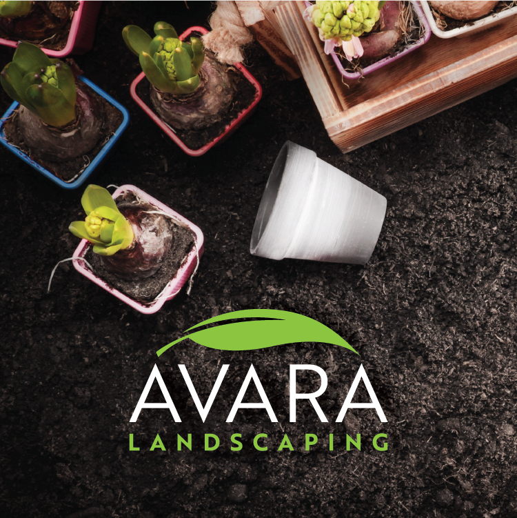 Avara_FlagFive-04.png