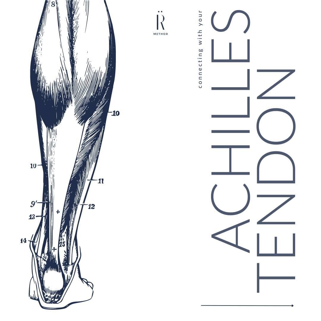 The Achilles tendon is a vital component of the lower leg and foot, and its health and function can greatly impact overall lower limb function. Swipe to check out how the Achilles tendon affects the foot and function of the overall leg!