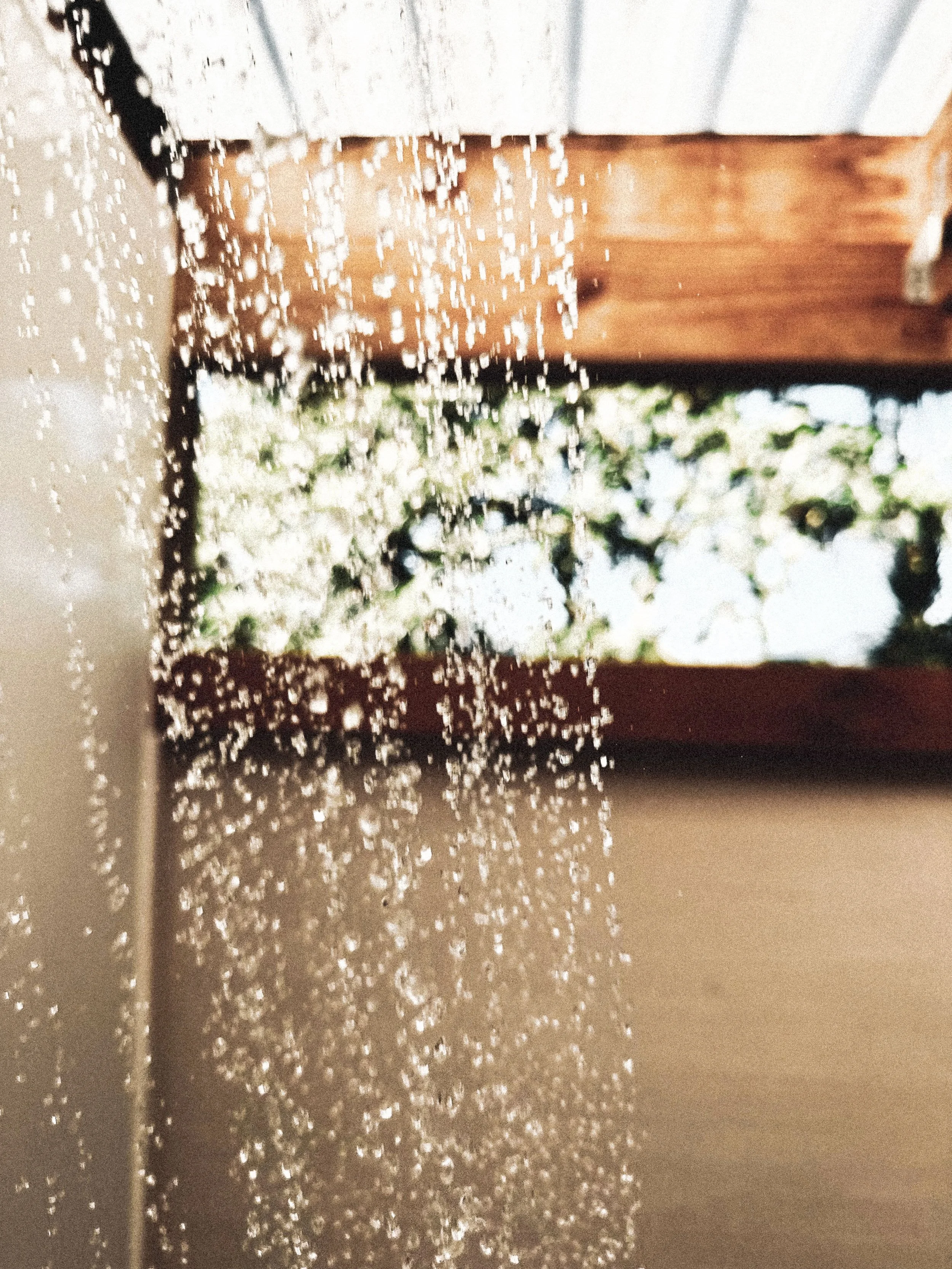 A window with water droplets on it, through which trees and bright sunlight are visible.