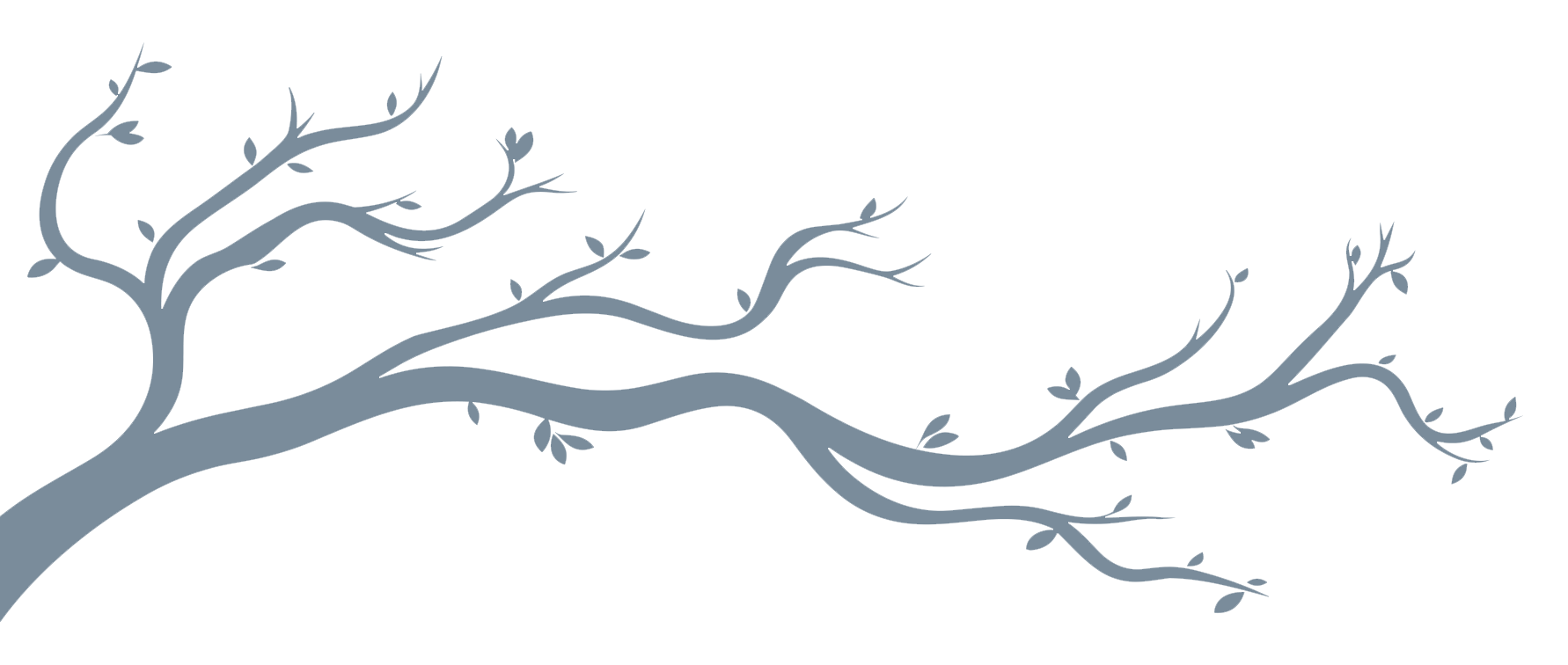 Illustration of a gray tree with twisting branches and small leaves against a black background.