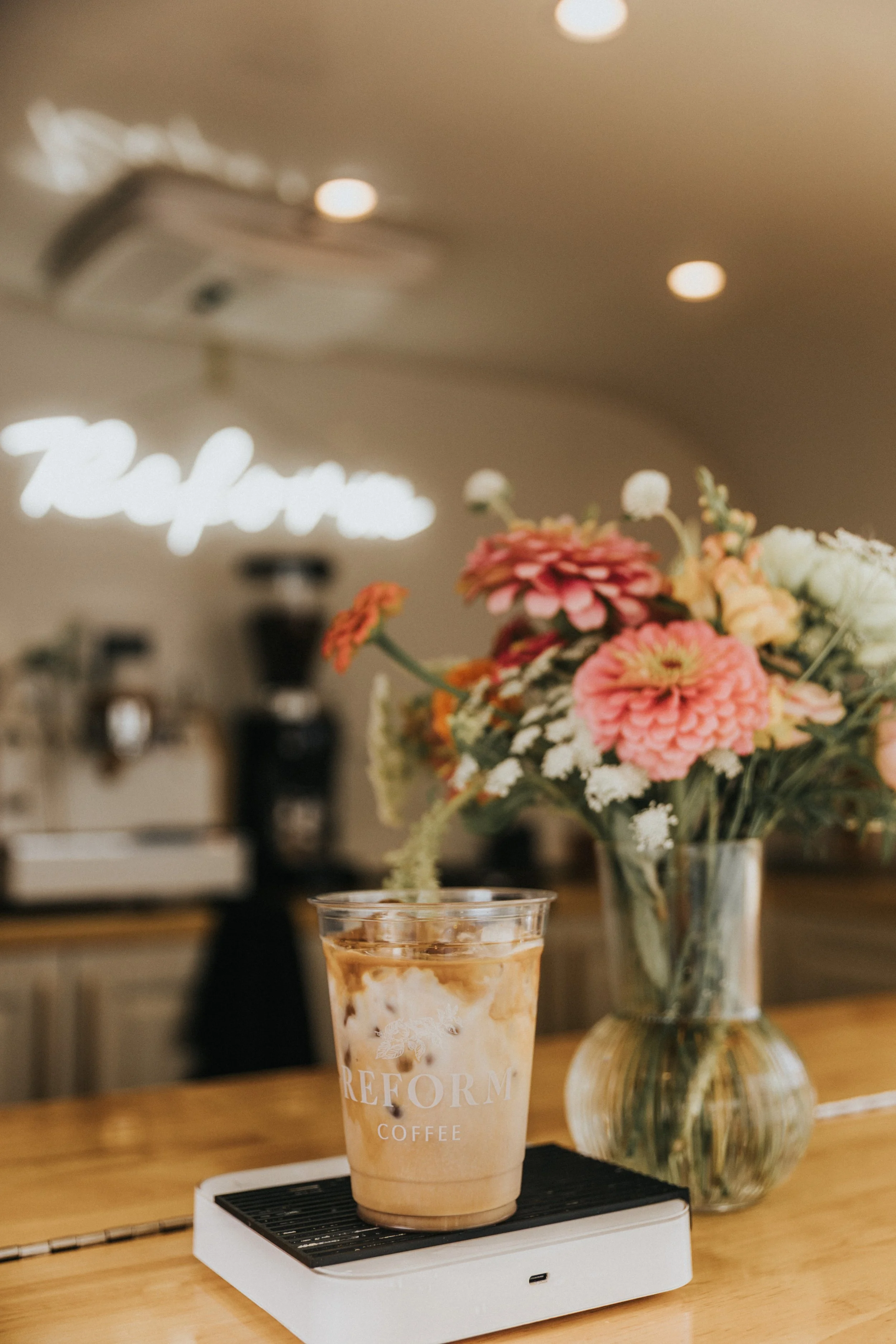 Sarasota coffee catering Reform Coffee Mindful Blooms Farm-40.jpg