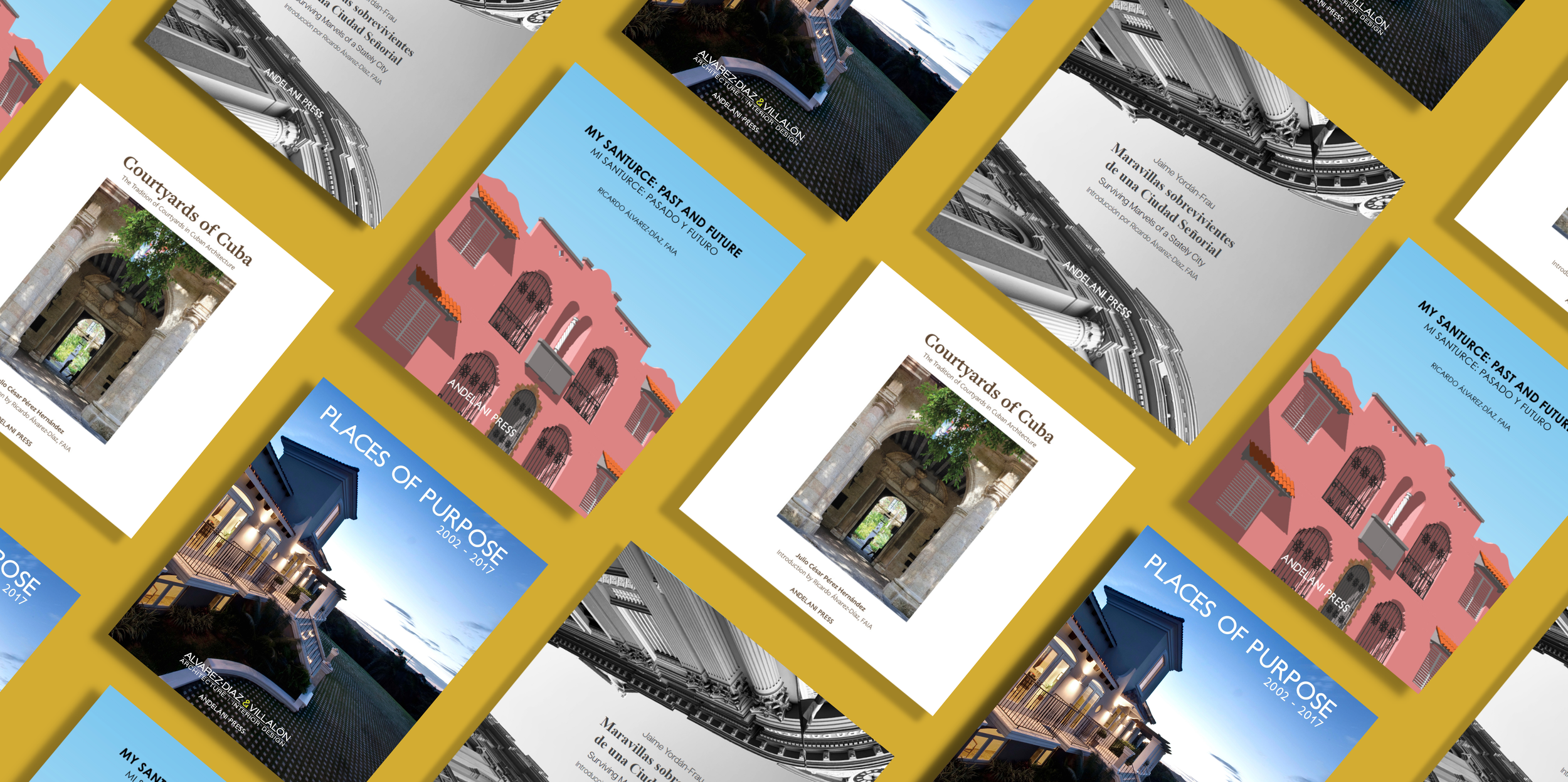 Andelani Press Cover Image Banner