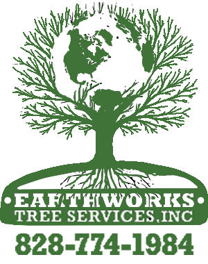 Logo+Green+3