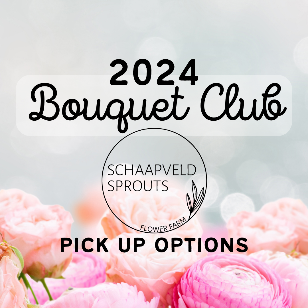 2024 Bouquet Clubs for DELIVERY — Where the Flowers are Farm