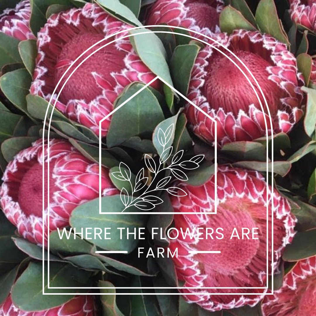 What are you doing Friday night? If your answer's not taking some 'ME' time for you &amp; your girlfriends, snag these few remaining tickets &amp; join us!
6PM, @contrarybrewing , American-grown unique &amp; specialty flowers, arranging workshop, dri
