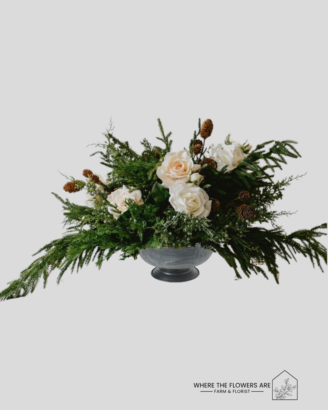 thanksgiving 26 medium (1).png (Copy)