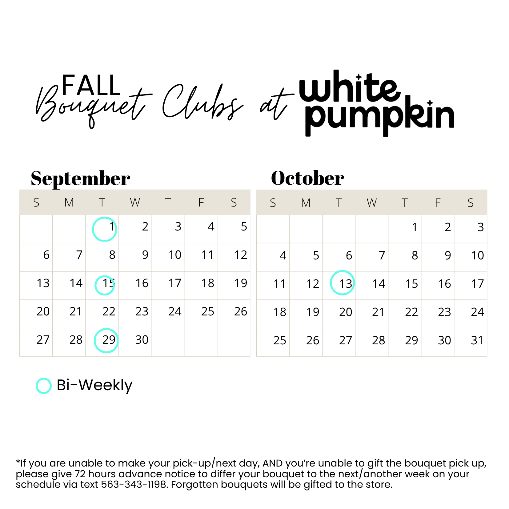 2026 white pumpkin (1).png