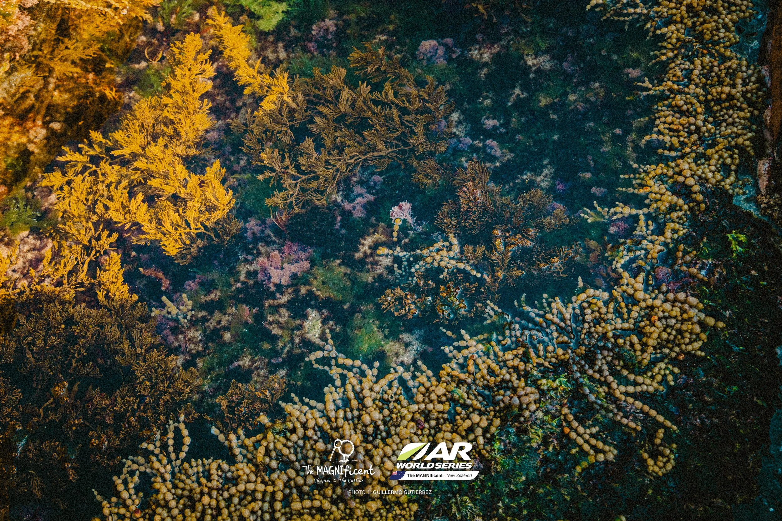 The Magnificent 2 _2026 @_guillermogutierrez-530.jpg