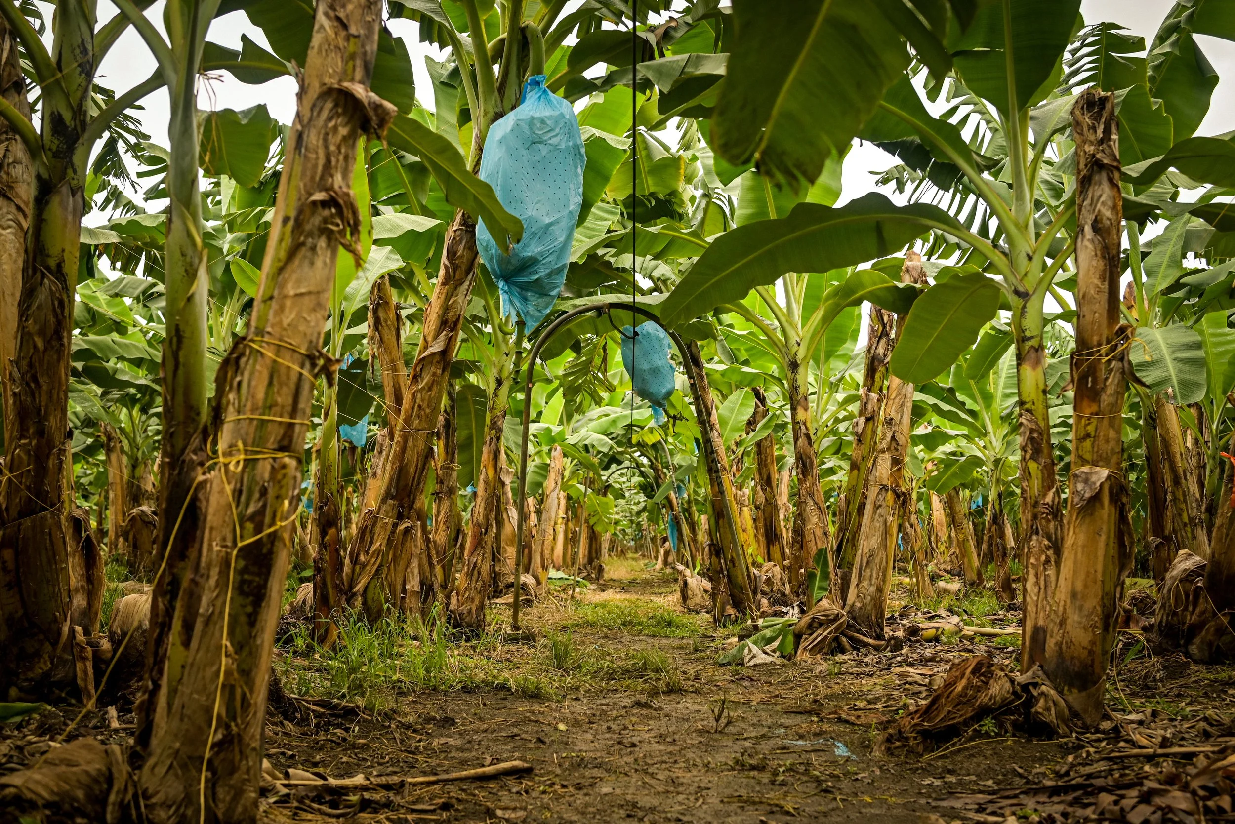 PC12_ Adventure Race_ Colombia