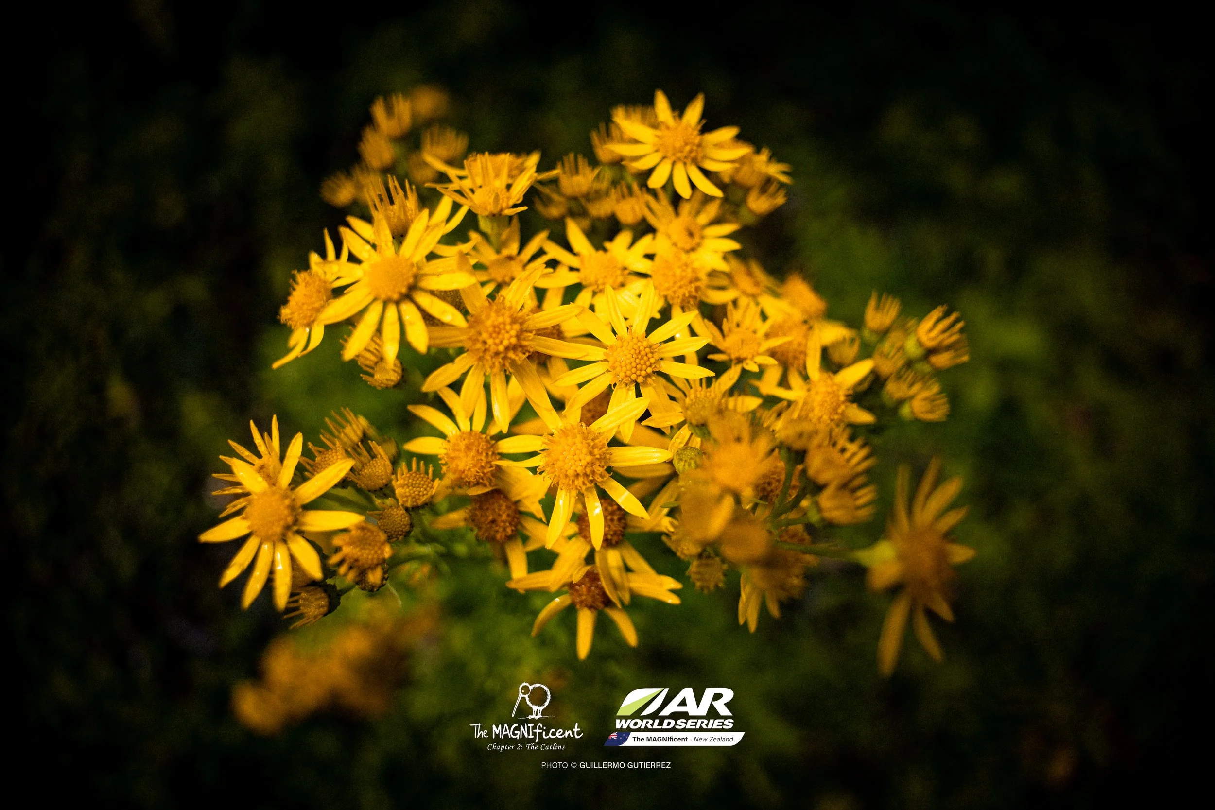 The Magnificent 2 _2026 @_guillermogutierrez-561.jpg