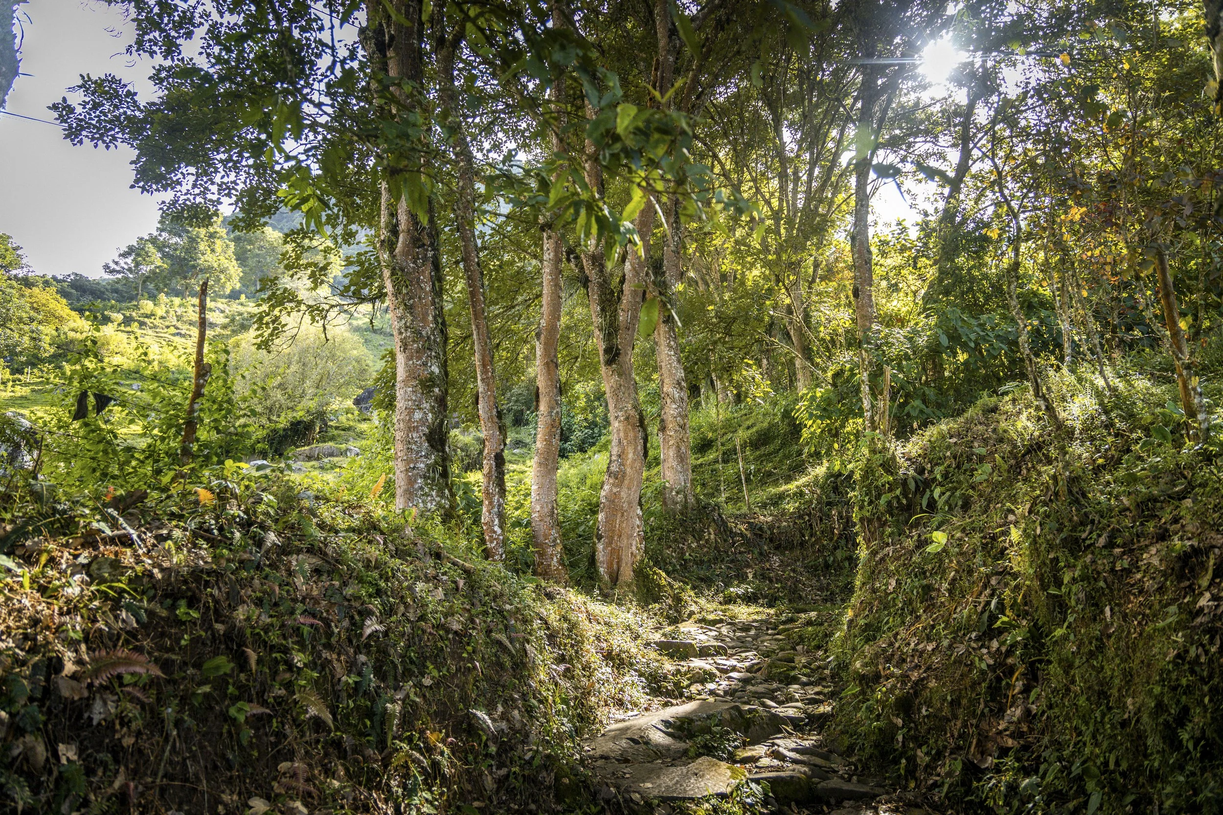 MONTEMAGICO-4.JPG