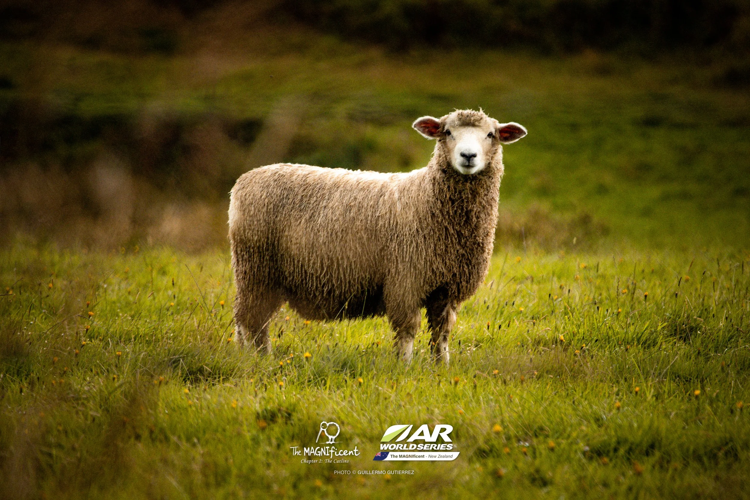 The Magnificent 2 _2026 @_guillermogutierrez-524.jpg