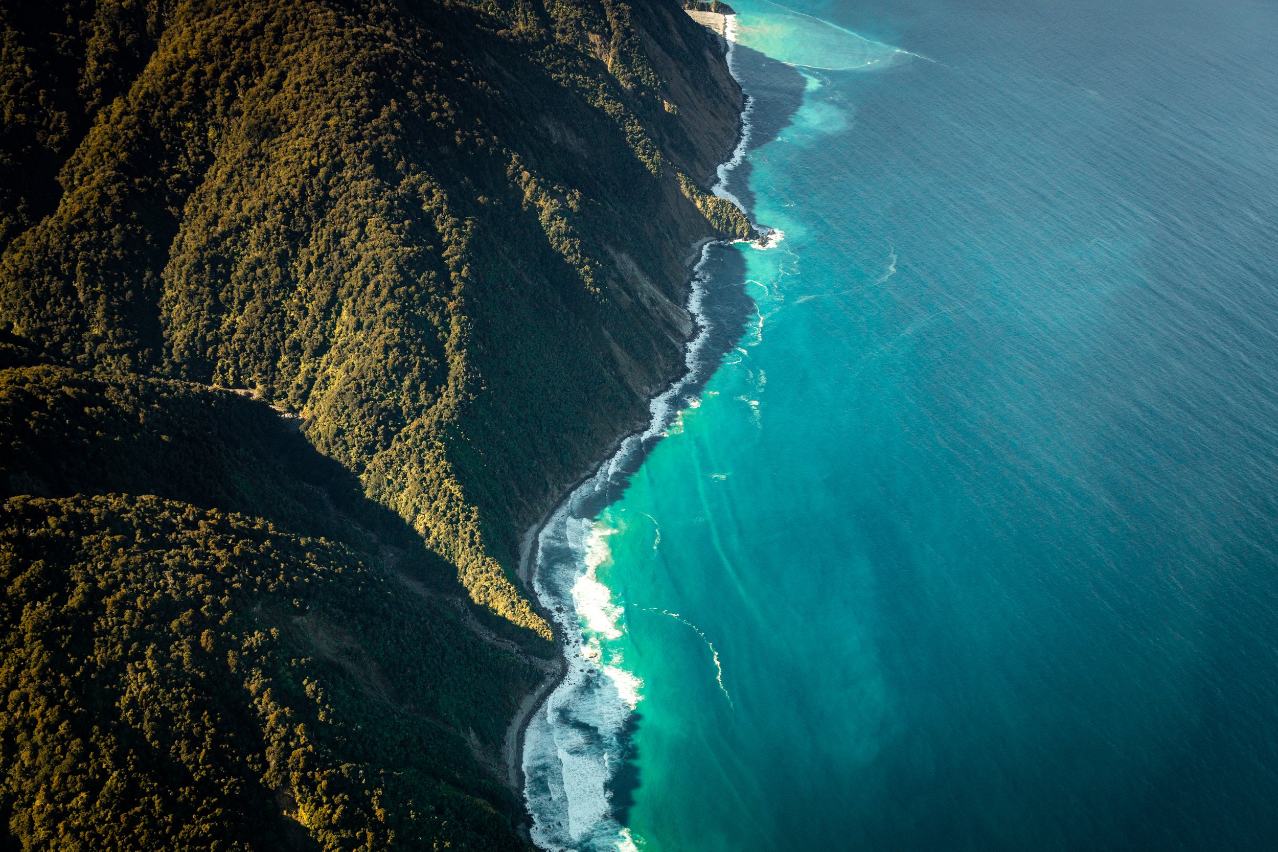 The Magnificent Chapter II The Catlins_@_guillermogutierrez (3).jpg