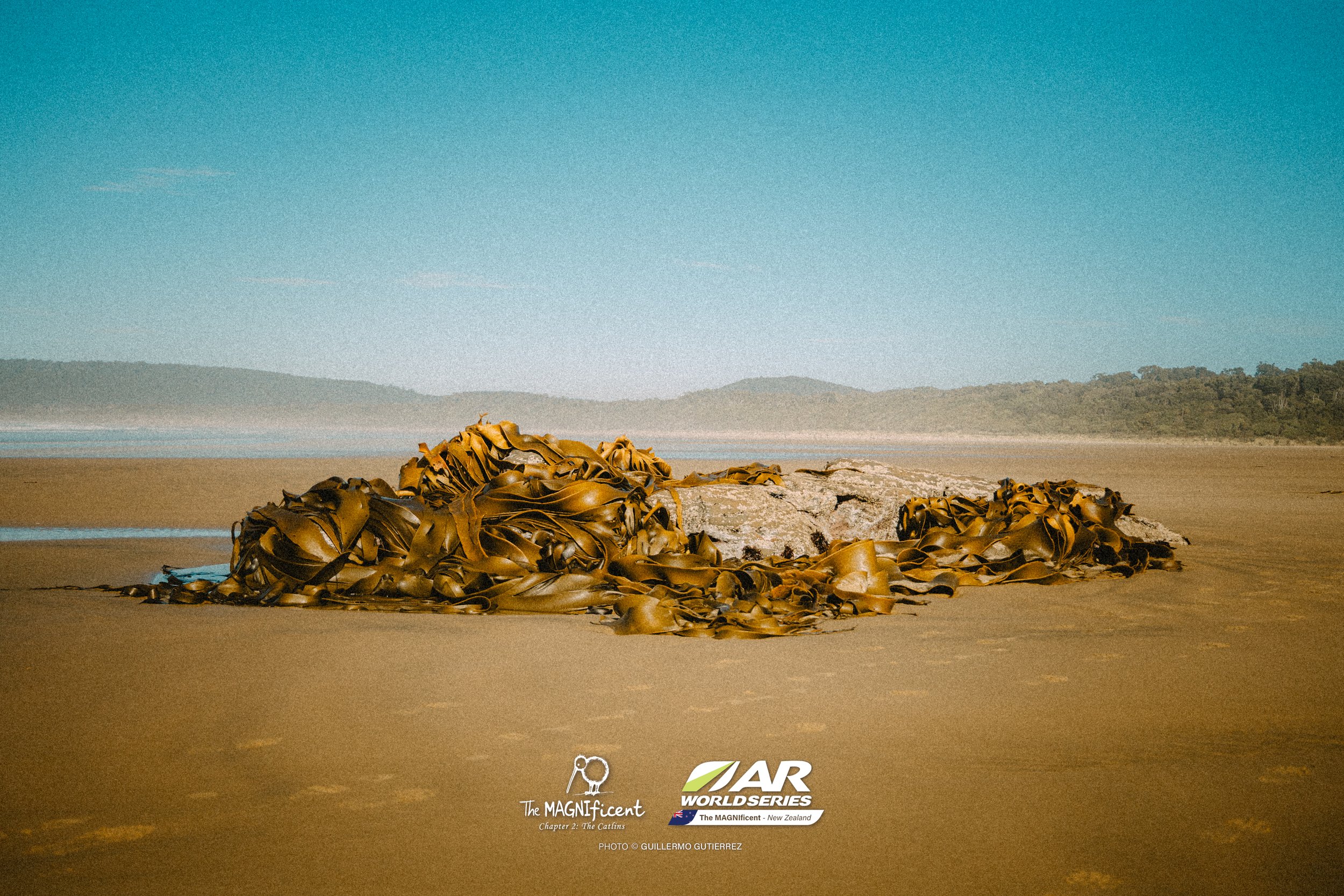 The Magnificent 2 _2026 @_guillermogutierrez-558.jpg