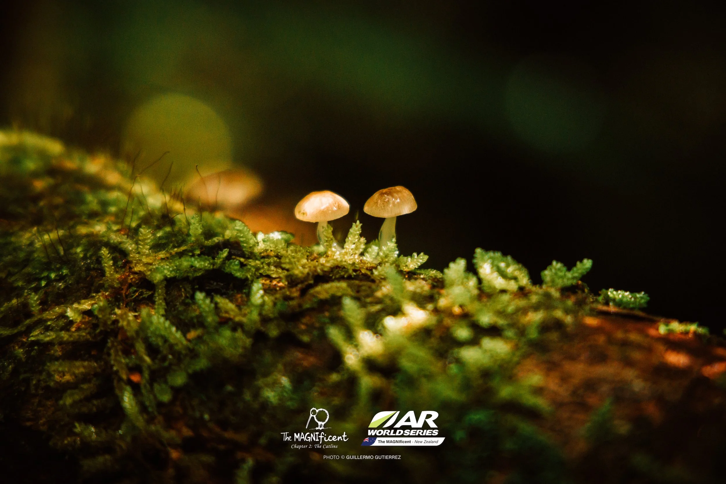 The Magnificent 2 _2026 @_guillermogutierrez-538.jpg