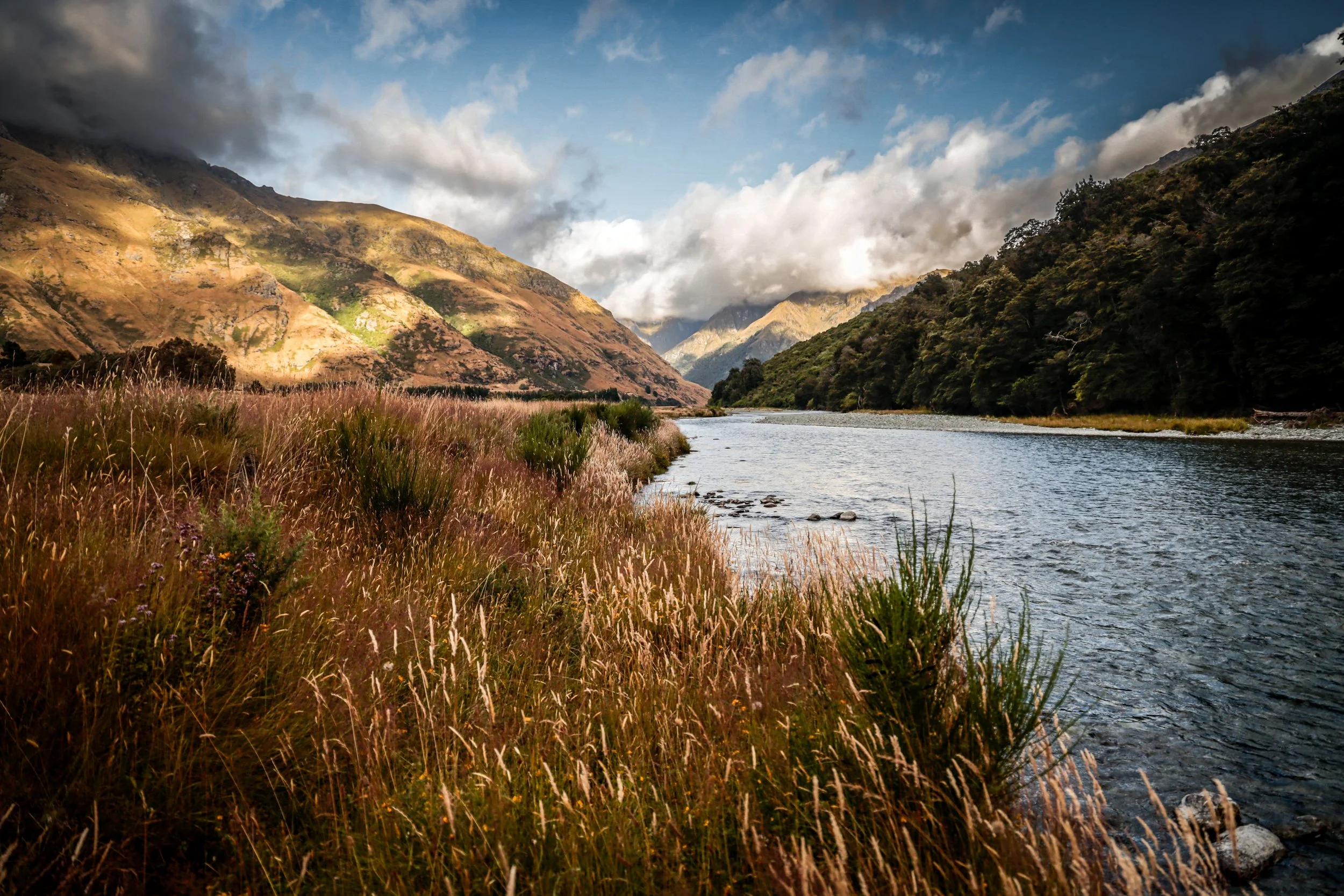 The Magnificent Chapter II The Catlins_@_guillermogutierrez (4).jpg