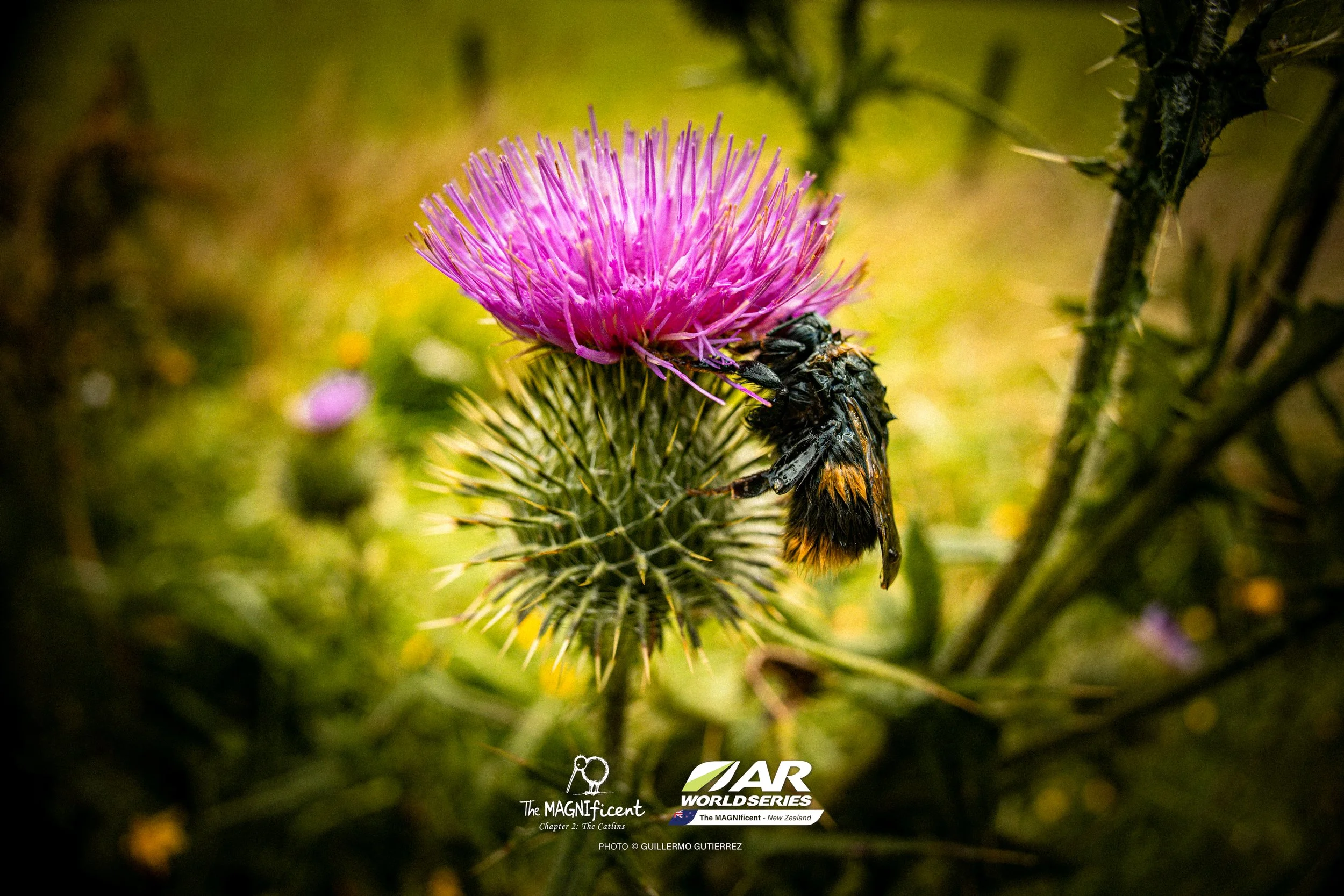 The Magnificent 2 _2026 @_guillermogutierrez-540.jpg