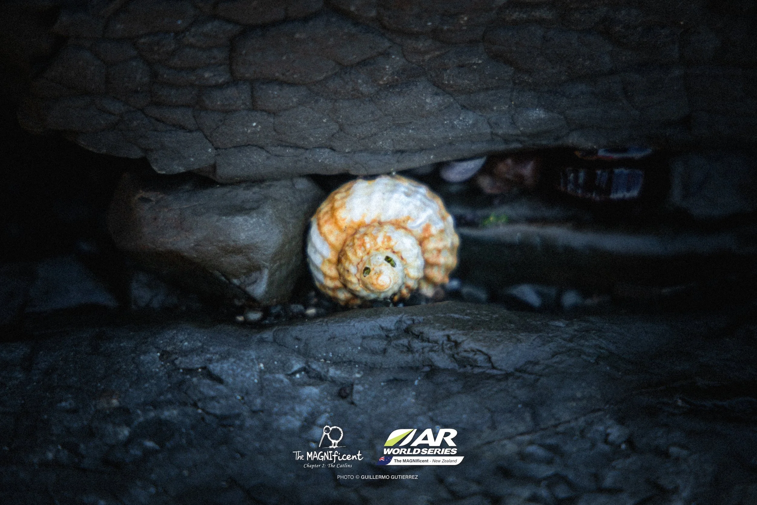 The Magnificent 2 _2026 @_guillermogutierrez-547.jpg