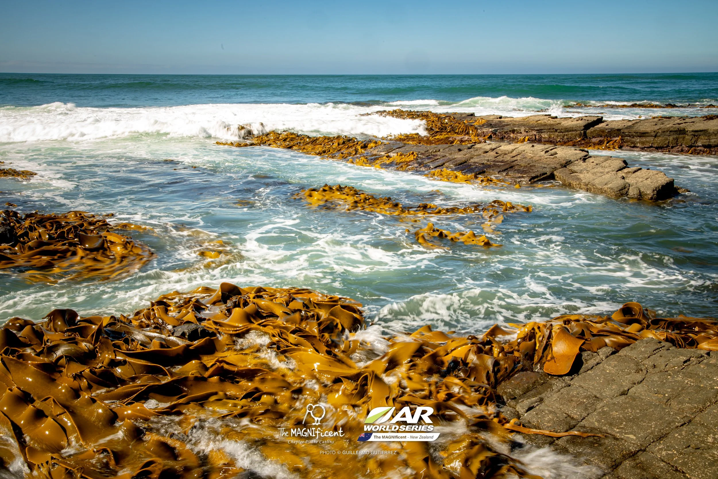 The Magnificent 2 _2026 @_guillermogutierrez-528.jpg