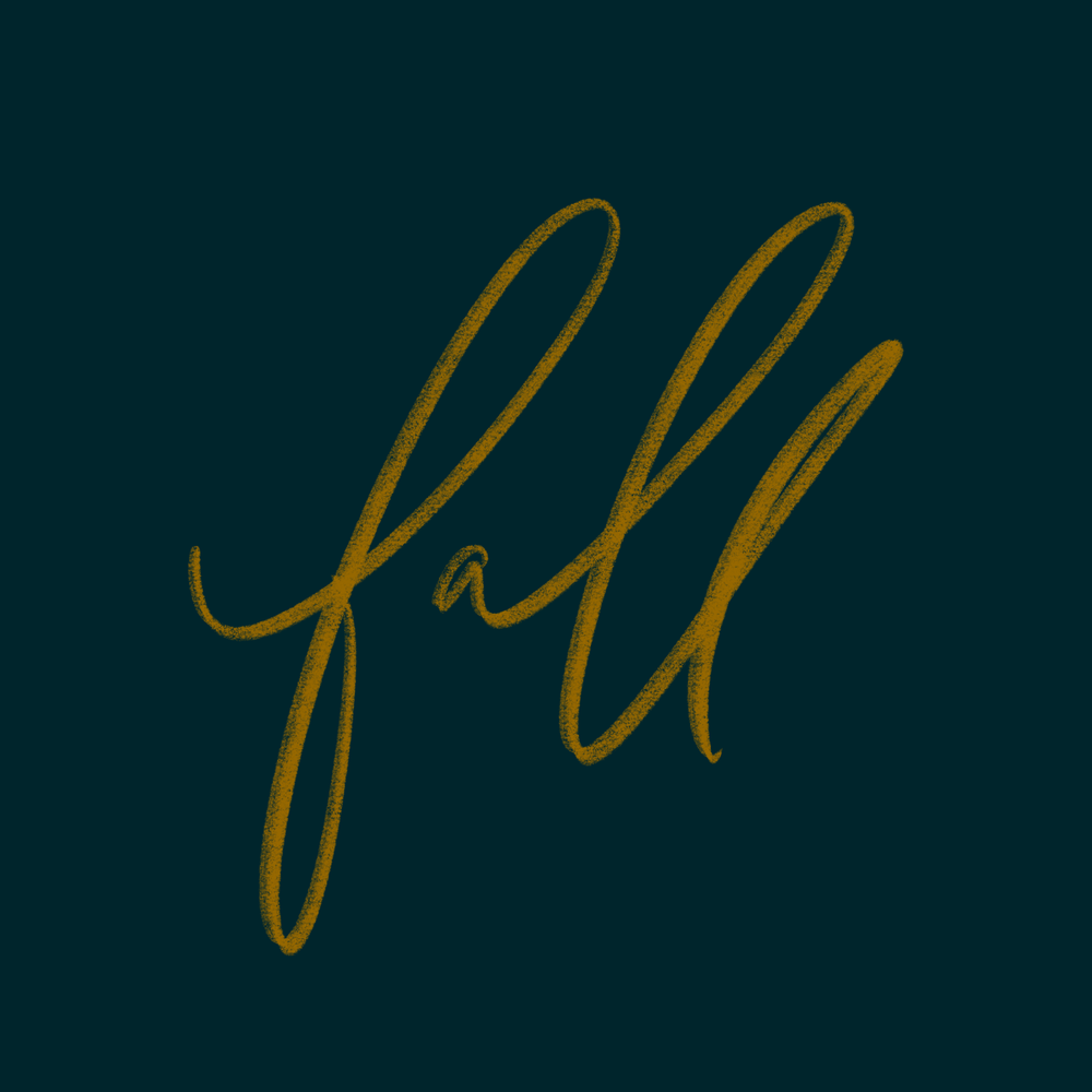 IMG_0040.png