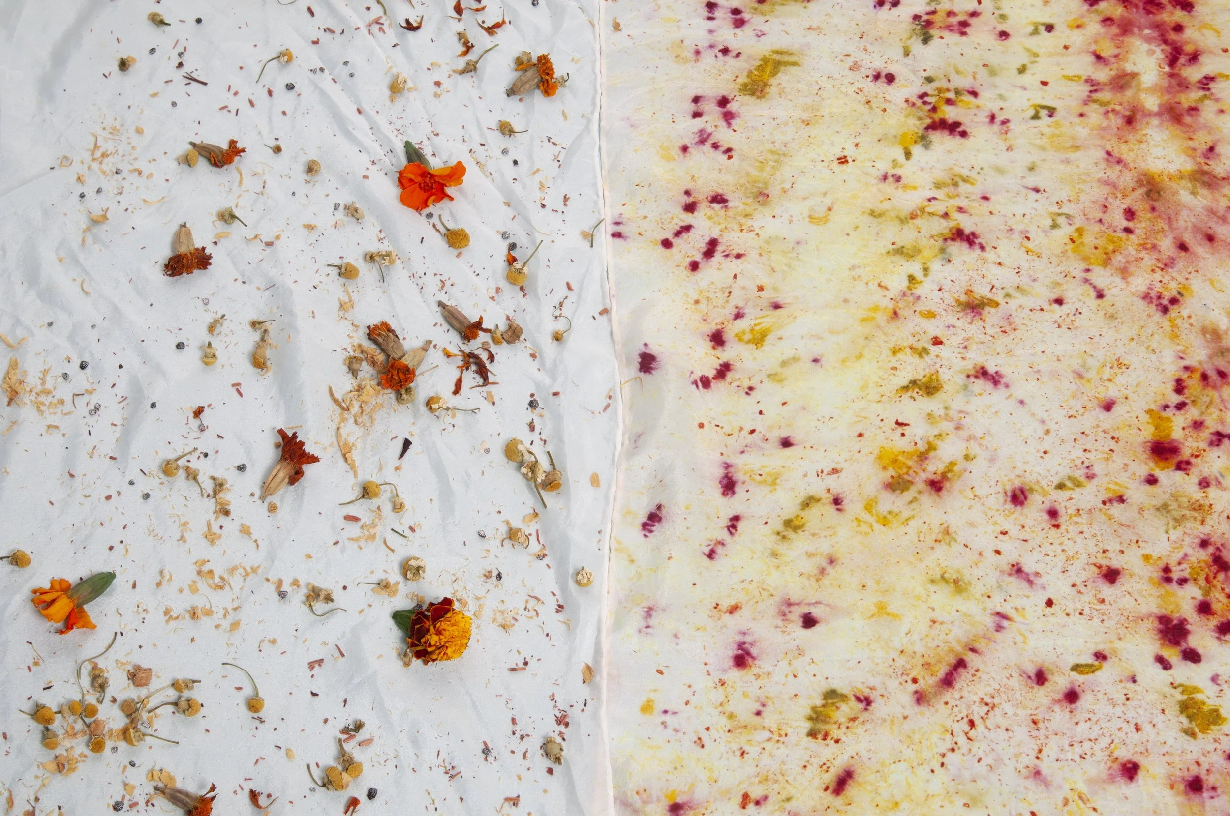 Botanical Surface Design.jpeg