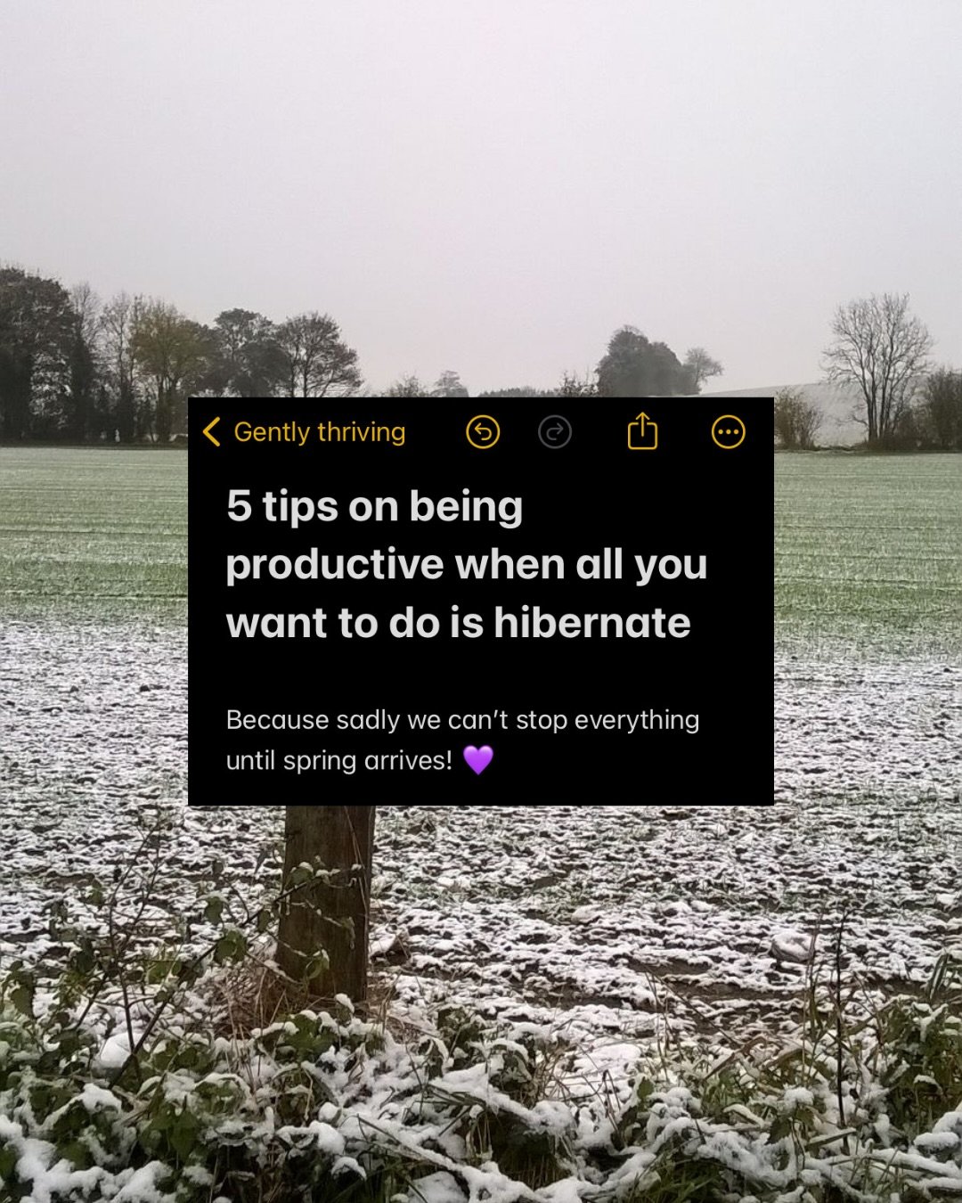 Have you noticed that all you want to do is hibernate recently? 

This is very normal for winter where our energy levels are lower. 

The thought of powering through your to do list at work and at home can feel overwhelming. 

But sadly, life doesn&r