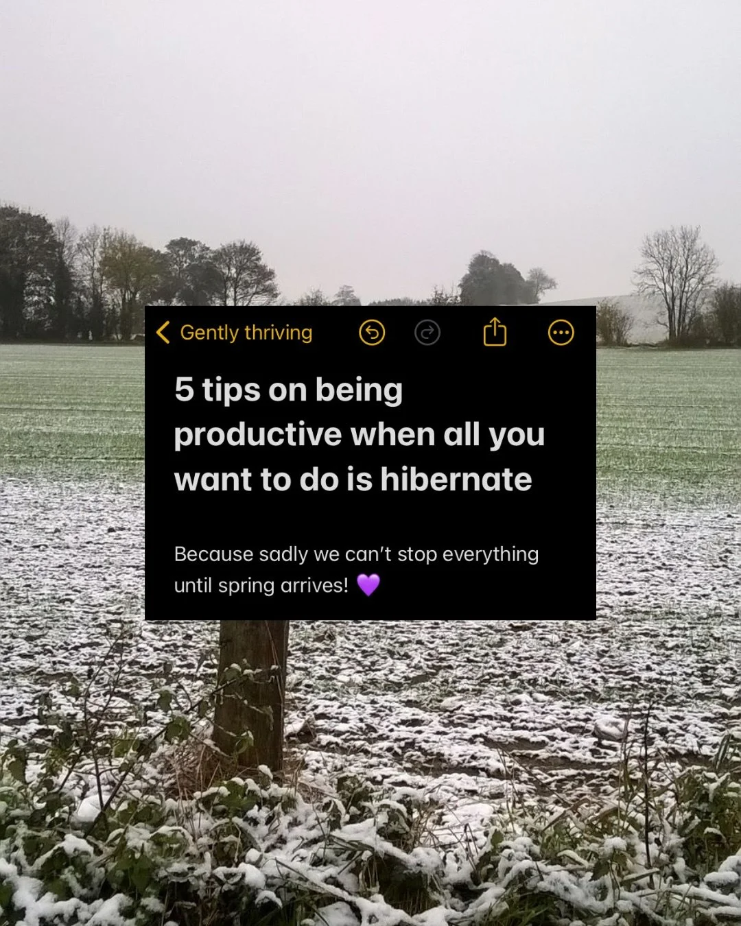 Have you noticed that all you want to do is hibernate recently? 

This is very normal for winter where our energy levels are lower. 

The thought of powering through your to do list at work and at home can feel overwhelming. 

But sadly, life doesn&r