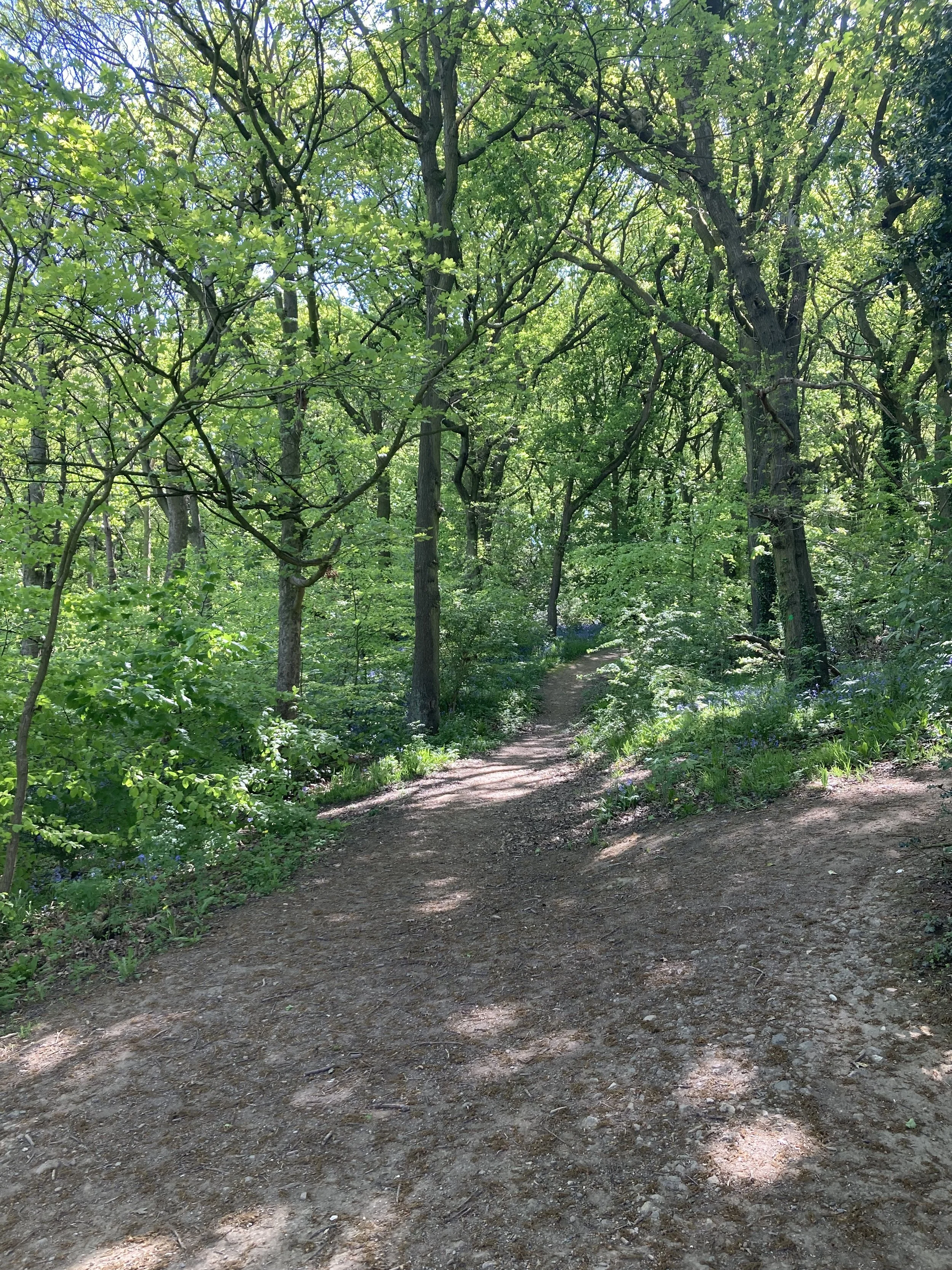 How to get unstuck: 10 practical tips to gently move forward in life