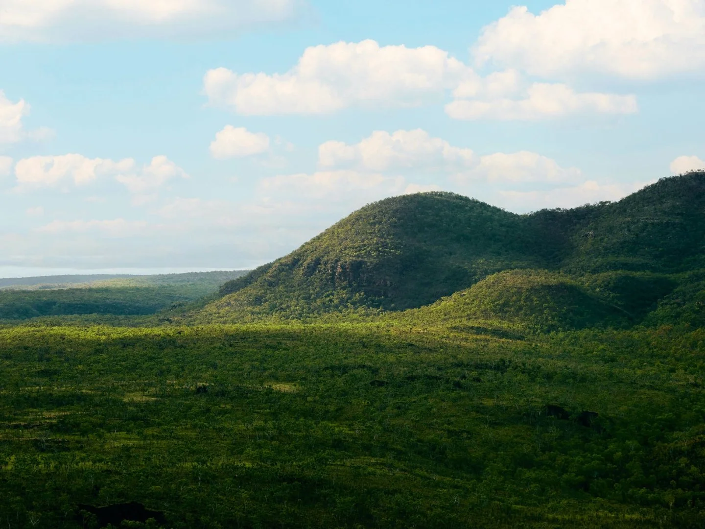 Can you believe this is the Kimberley and not a scene out of Jurassic Park 👀🦕

Looks like we&rsquo;re in for a lush green Kimberley this season!💚

All the more reason to head up North this year😉🦖

#seeaustralia #wathedreamstate #kimberley #gibbr