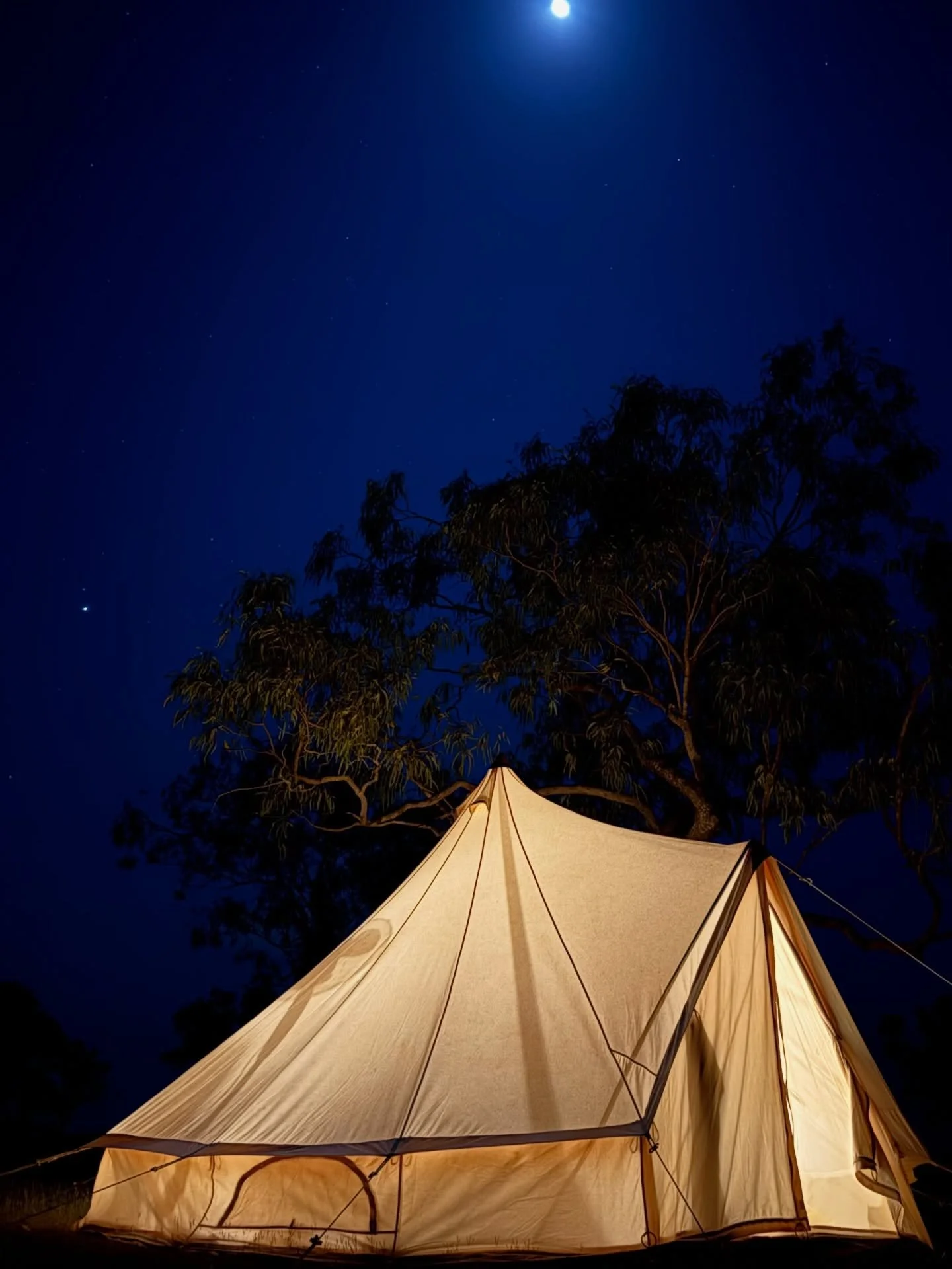 The perfect place to disconnect in comfort 🫶🏻 

You can book our bell tents through the link in our bio 

#Kimberley #KimberleyWA #SeeAustralia #ExploreWA #TravelAustralia