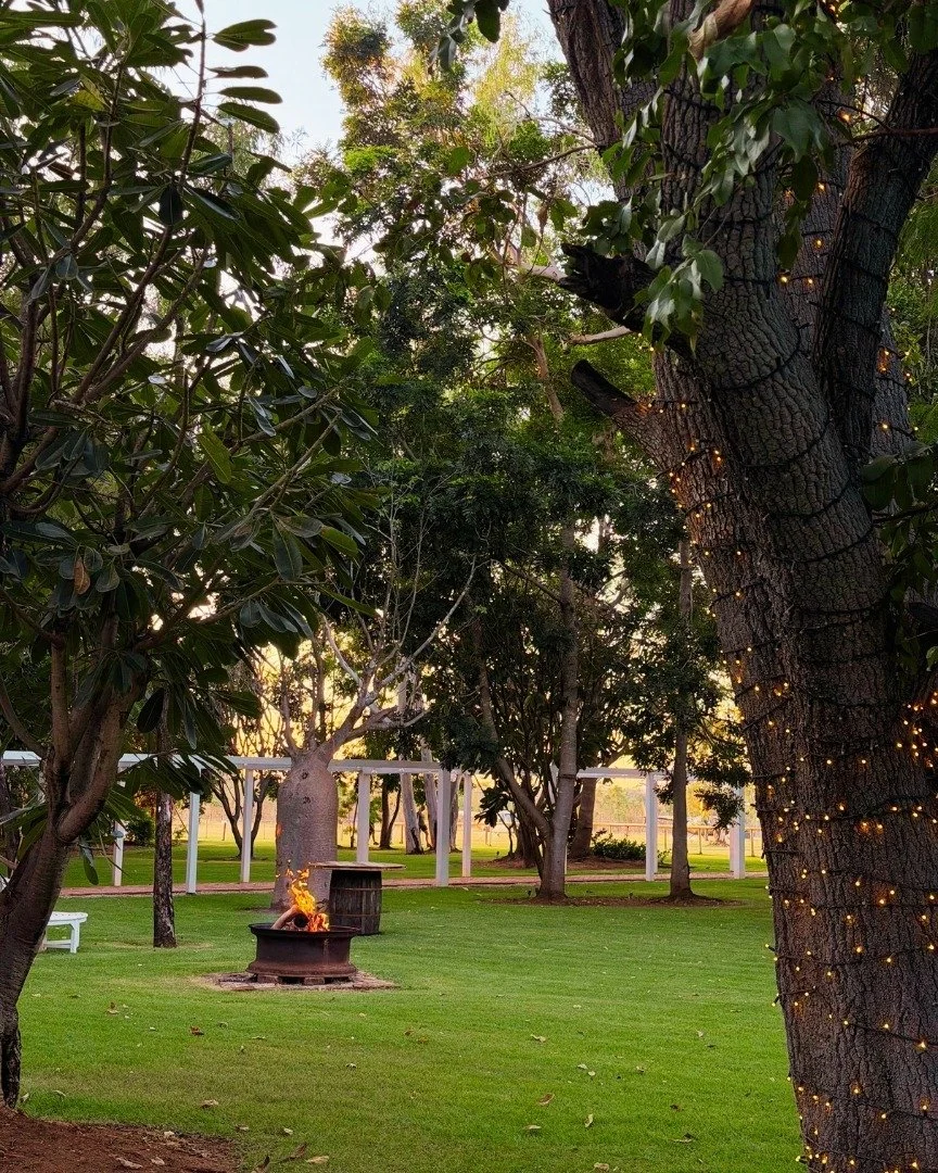 We&rsquo;ve got the fire pit crackling and the drinks flowing. All that&rsquo;s missing is you!😉🍻

Kick back and relax in our lush green oasis beneath the boab trees and twinkling lights ✨

#wathedreamstate, #seeaustralia #exploreaustralia #kimberl