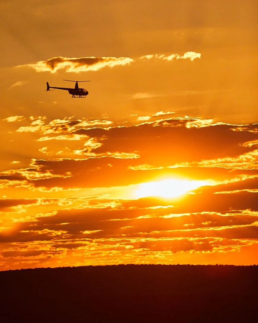 ATTENTION ADVENTURERS 🤠

Mount Hart Wilderness Lodge will be closed on the 29th of May for a private event. 

We&rsquo;ll be back to regular Kimberley adventures, cold drinks, helicopter flights and outback hospitality from the 30th of May onwards🧡