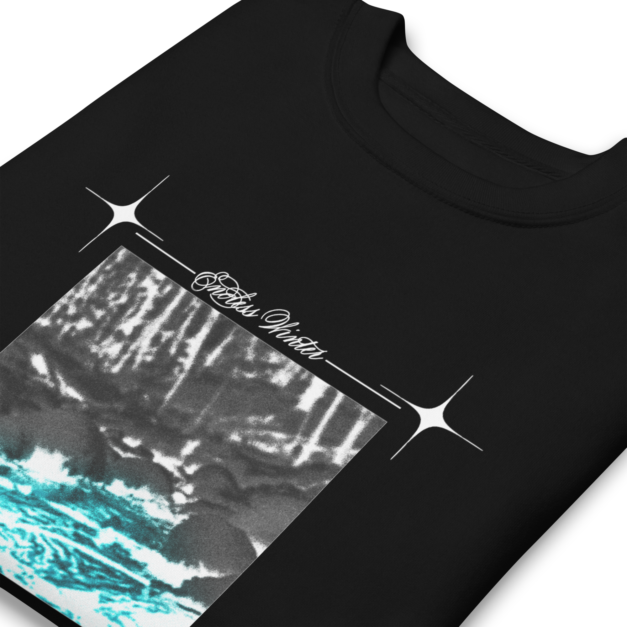 unisex-premium-sweatshirt-black-zoomed-in-67675e71d3394.png