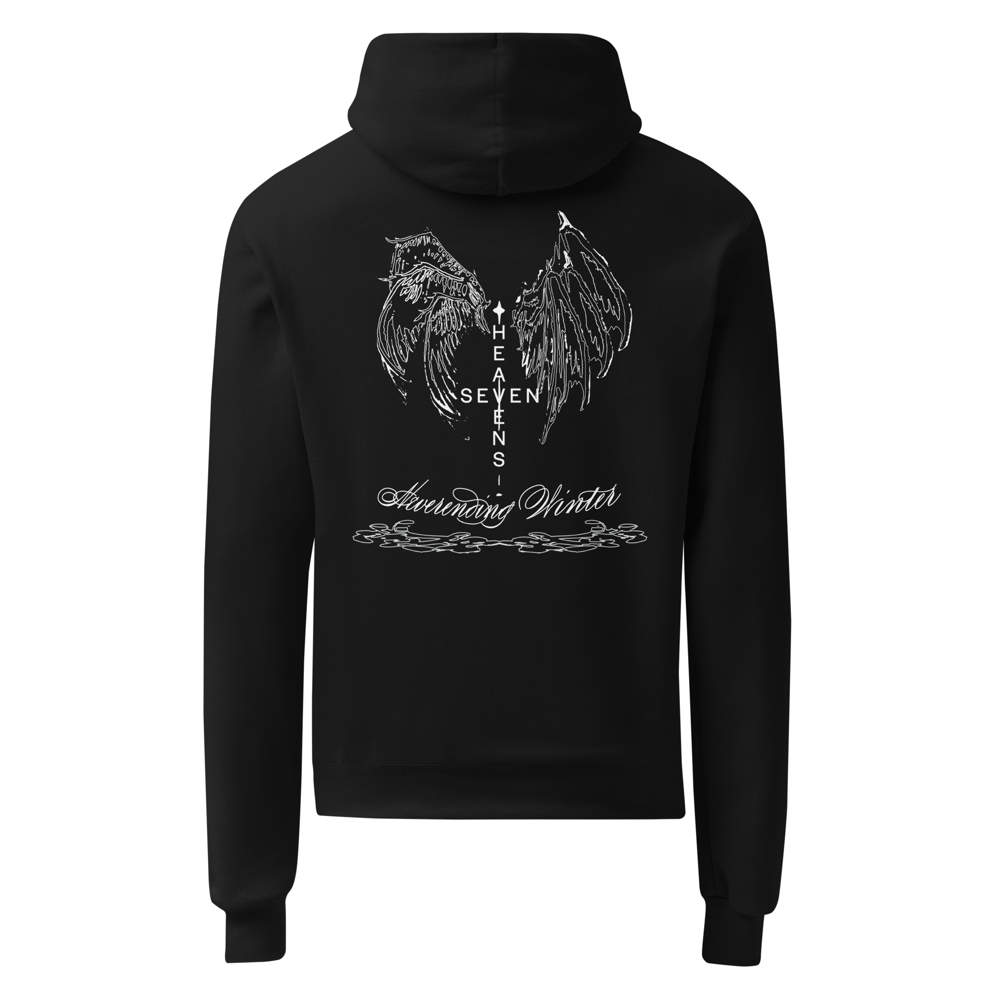 unisex-champion-hoodie-black-back-69324b8ab828a.png
