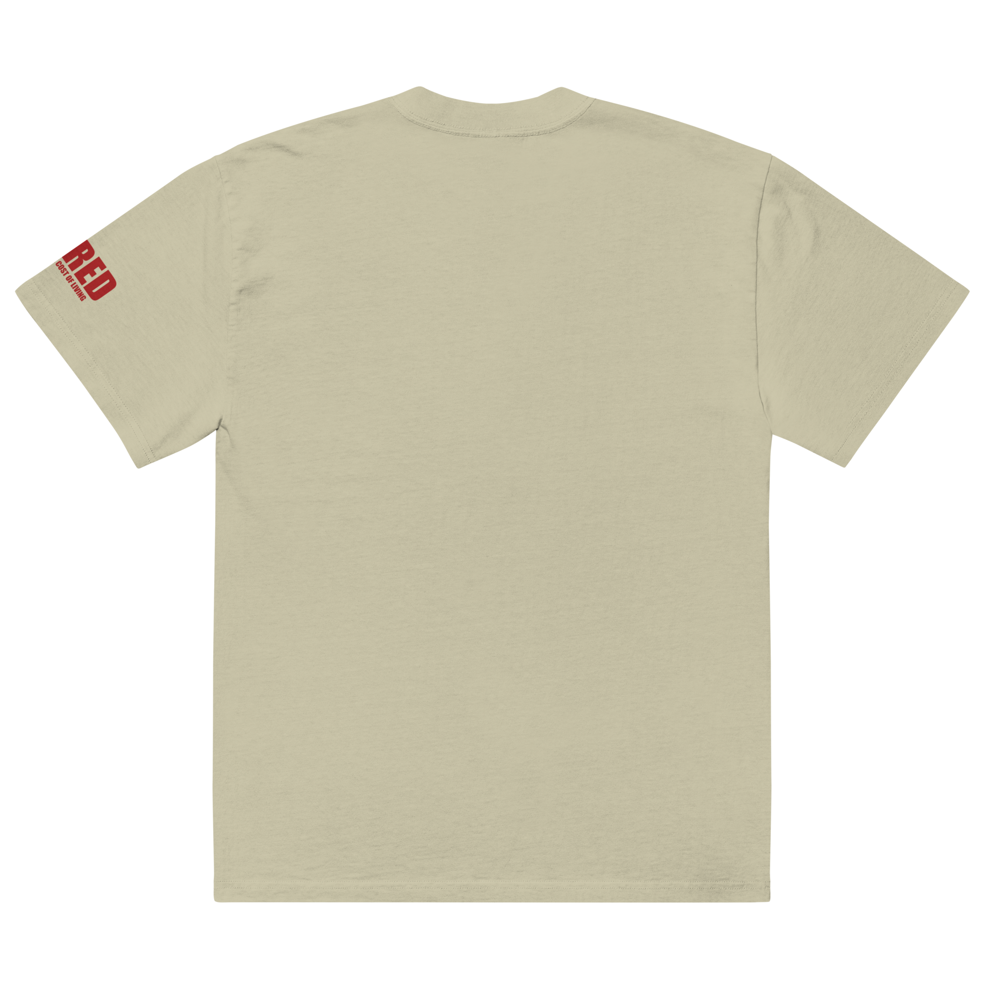 mens-oversized-faded-t-shirt-faded-eucalyptus-back-69d41a44ae2b5.png