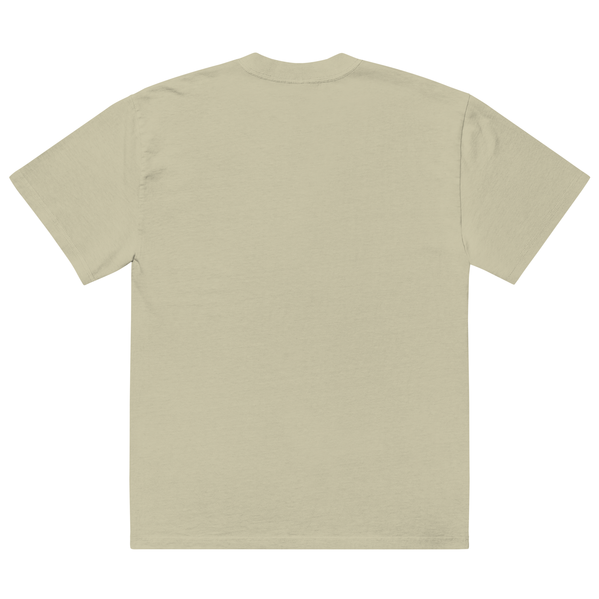 mens-oversized-faded-t-shirt-faded-eucalyptus-back-69d41b981ad87.png