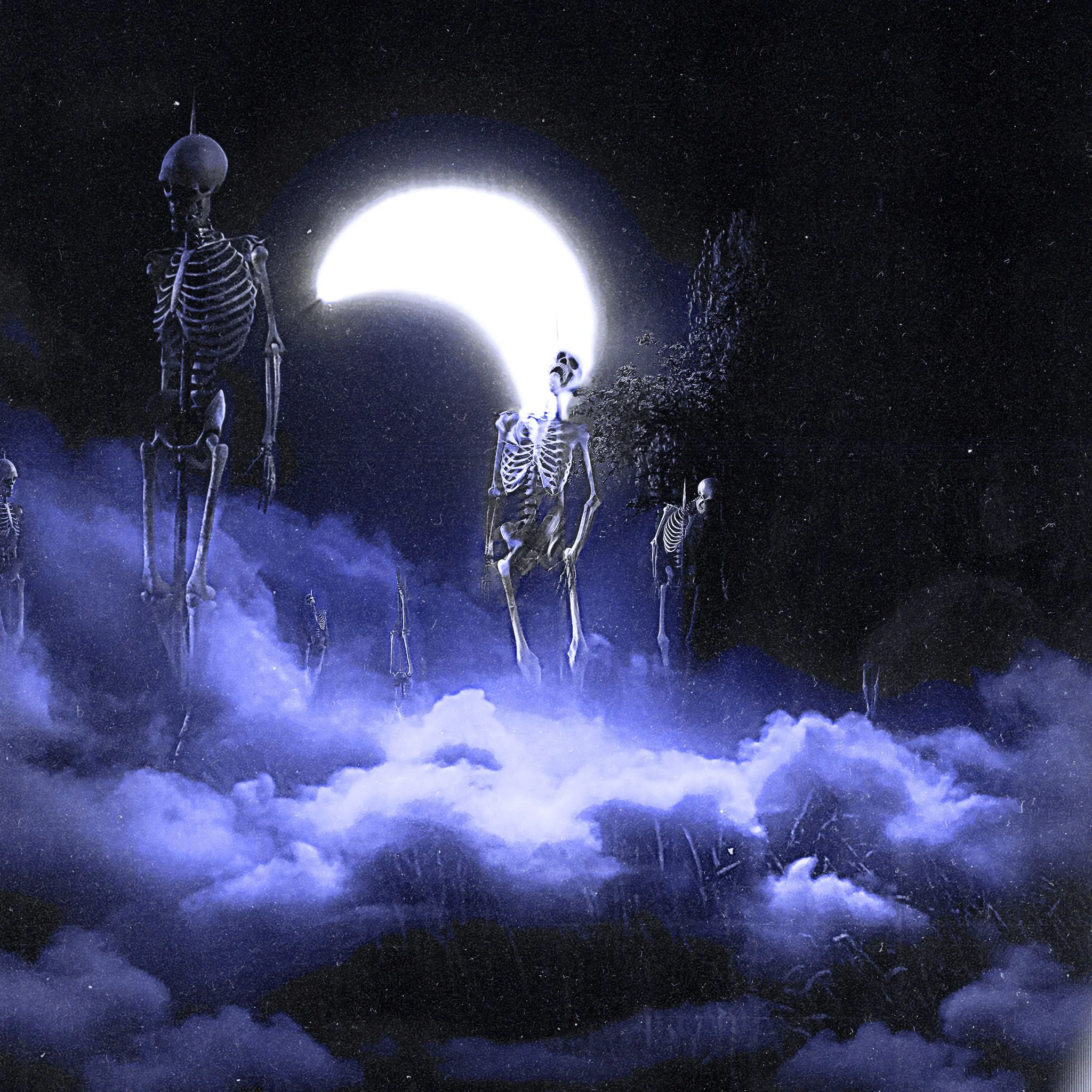 willows alliswellexe.jpg