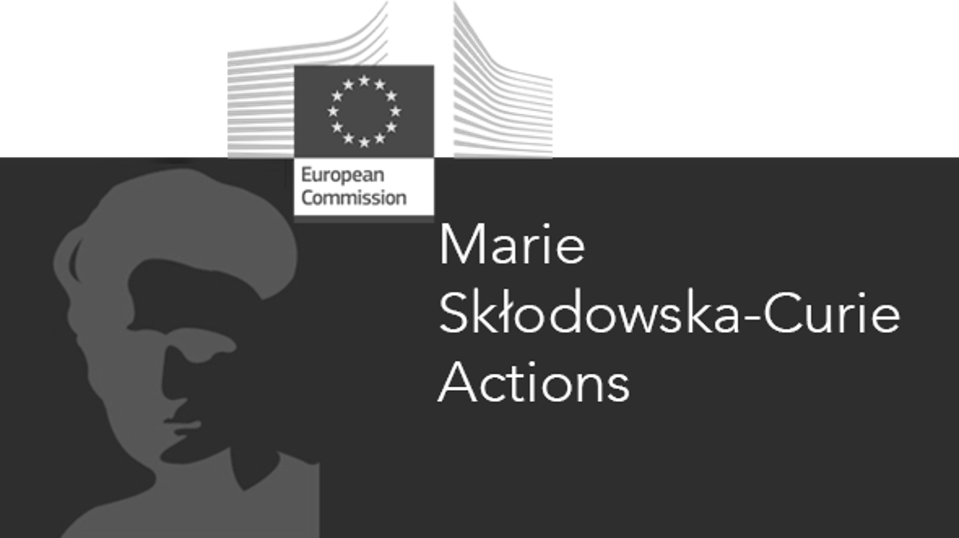 Marie Curie Fellowship