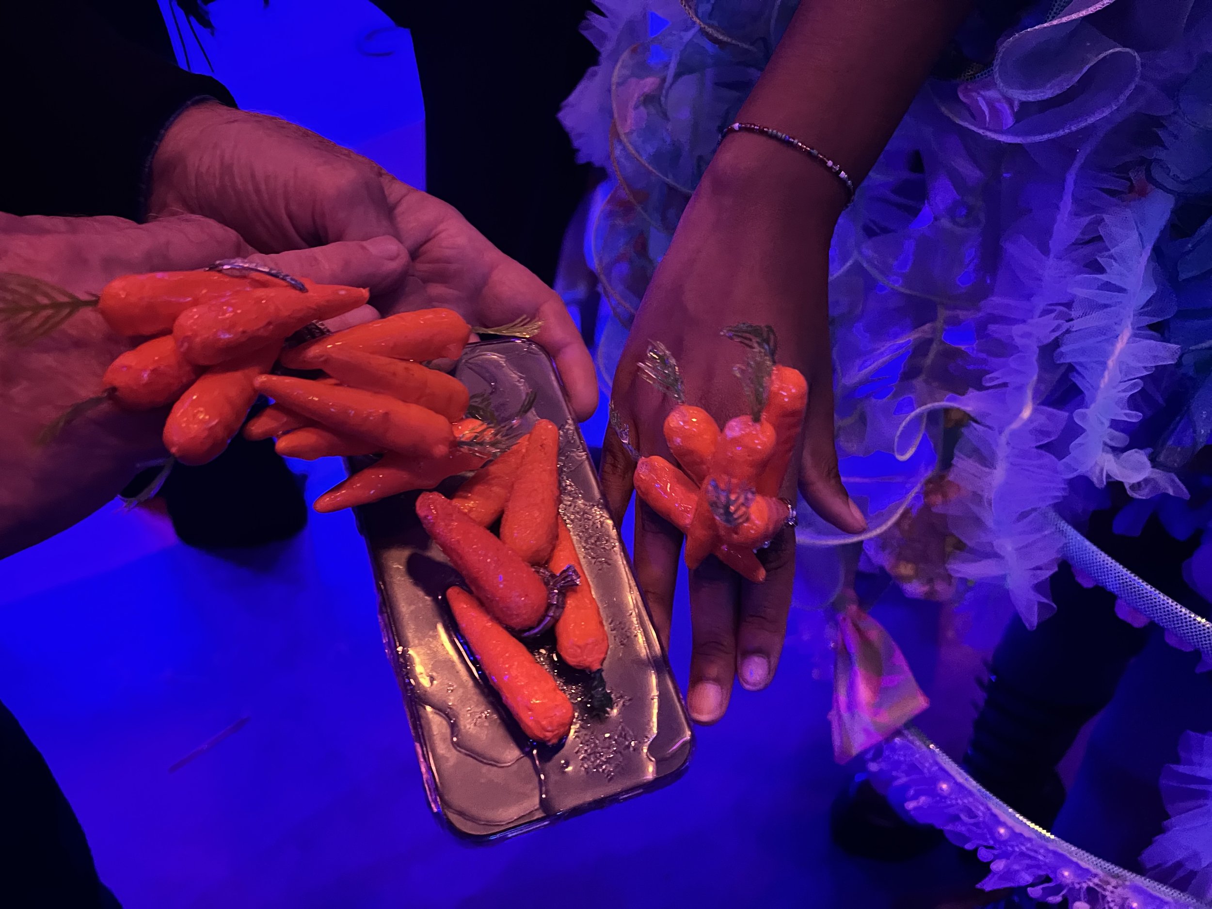Sushidelic carrot rings by Barry Wine.jpg