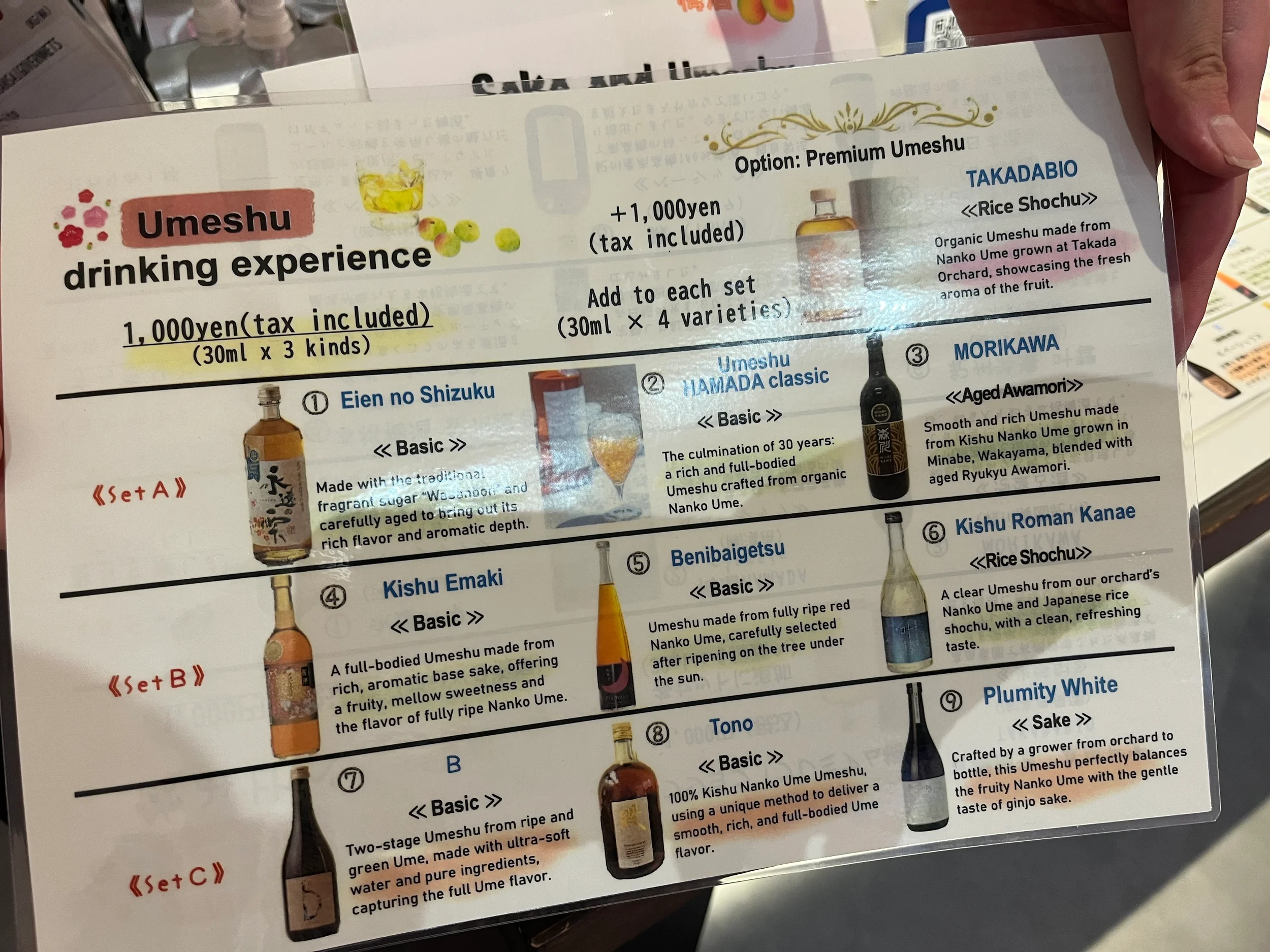 48 Wakayama Yvonne Burton.webp