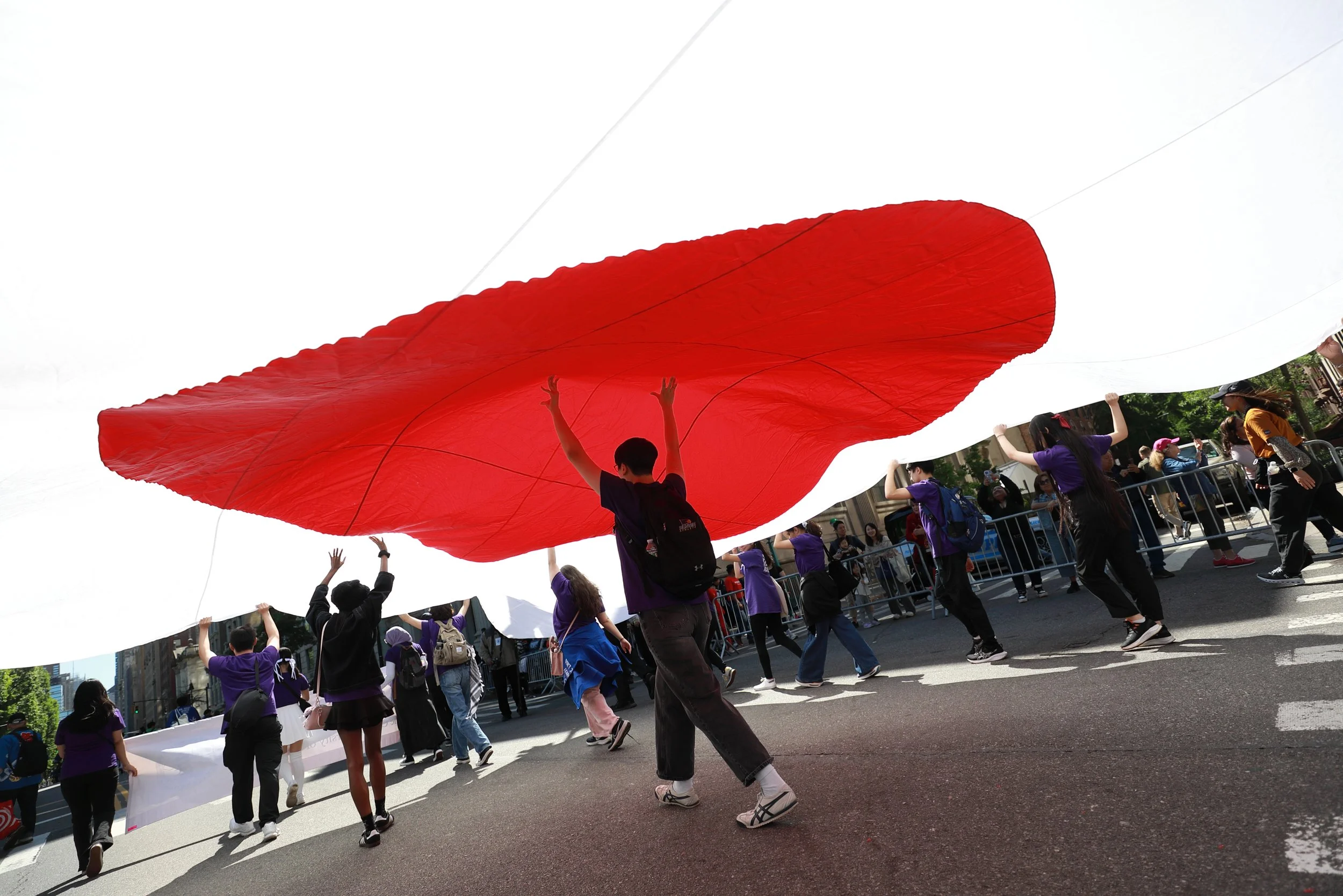 Japan Parade flag.JPG