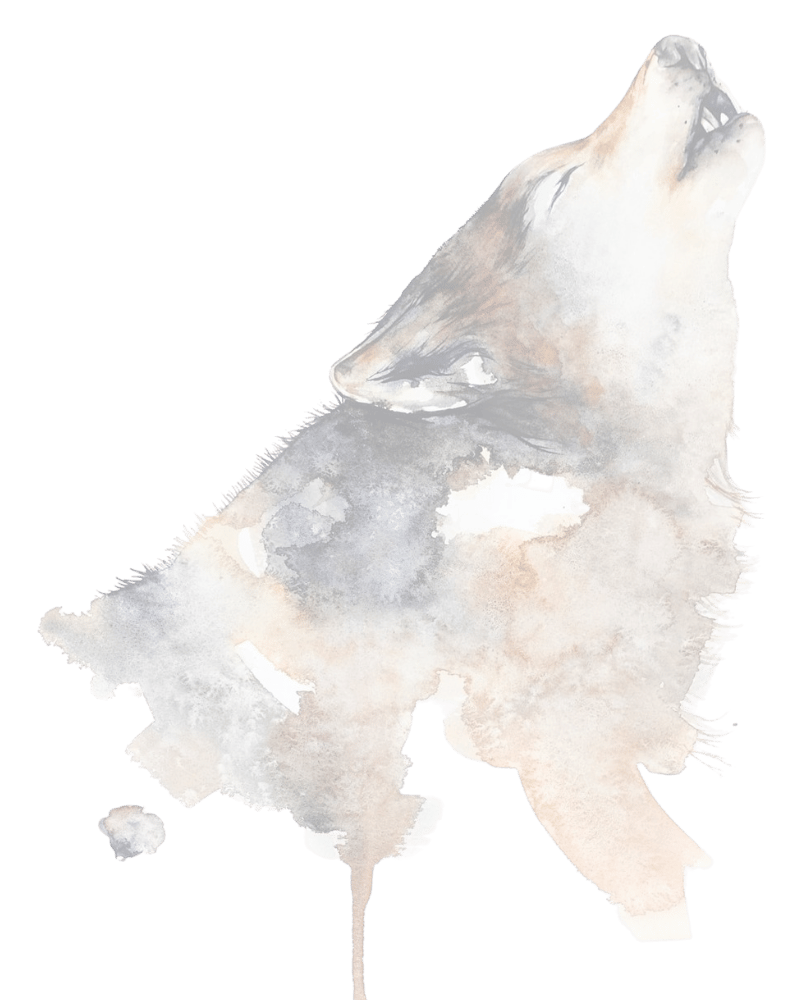 Mathilde Gottrand Loup