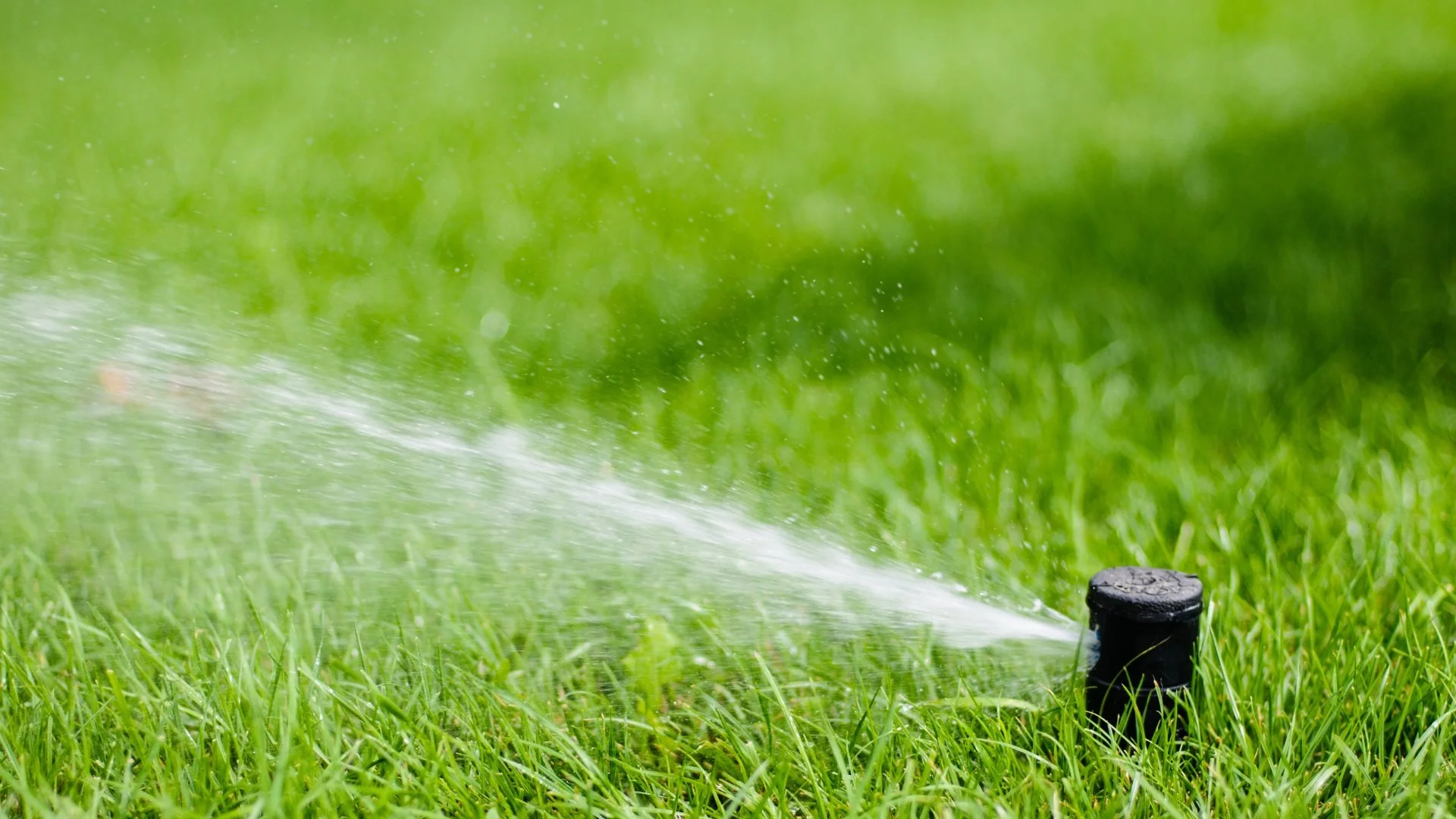 Irrigation Supply Stores Near Me Irrigation Supply Stores Near Me