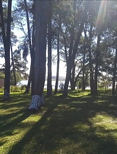 Cesar Silva - Uruguay