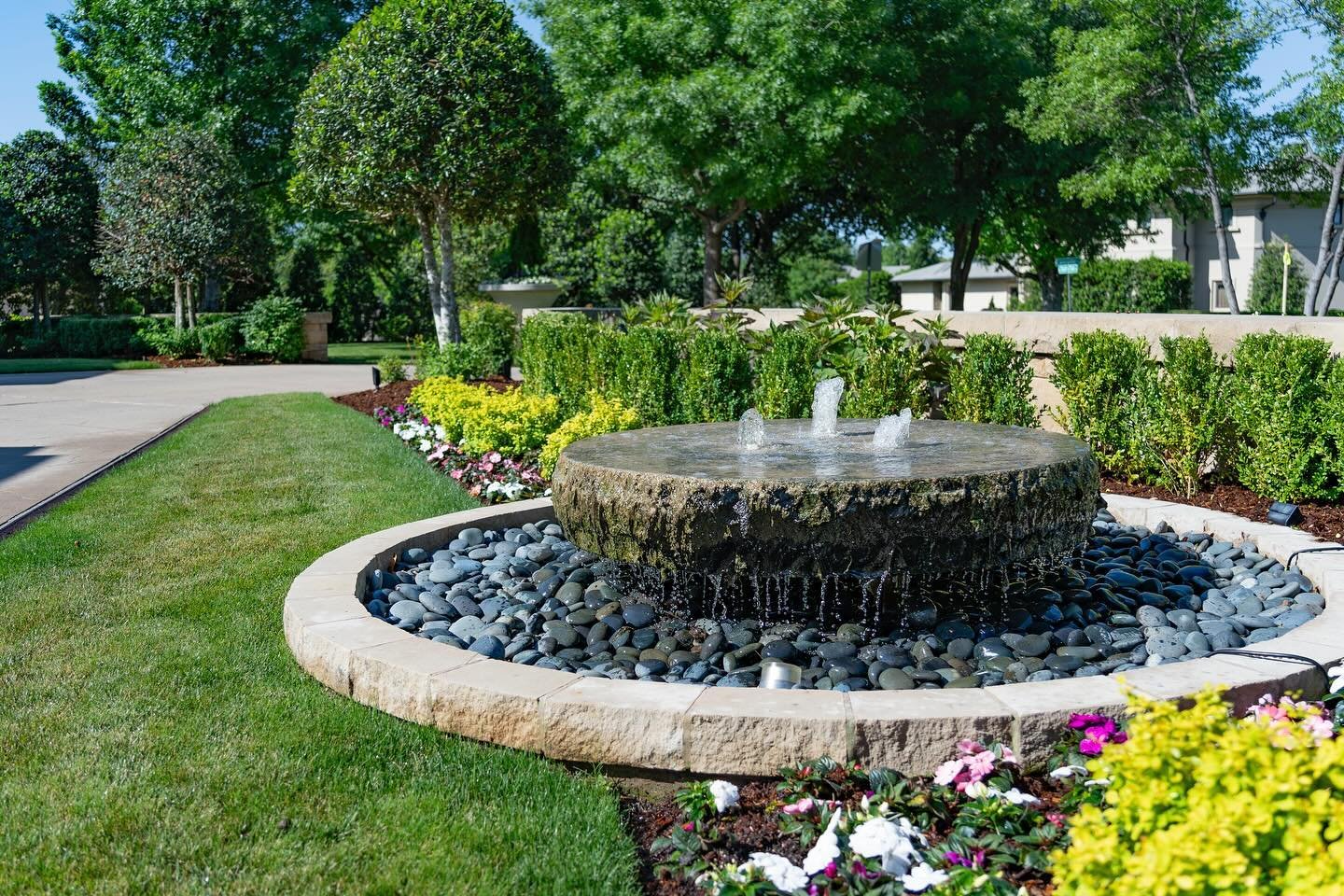 Brighten up your feed with some lush greenery and vibrant blooms&mdash;no context needed! Enjoy the beauty of nature from Squared Away Lawns 🌿🌺🌸