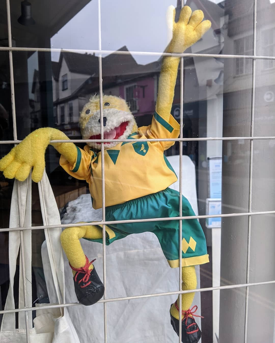 Out Of The Cage, On The Ball City 
#apartbuttogether
#anzianidirazza
#italiancanaries
#norwichcityfc
#norwichcity
#carrowroad
#otbc
#ncfc