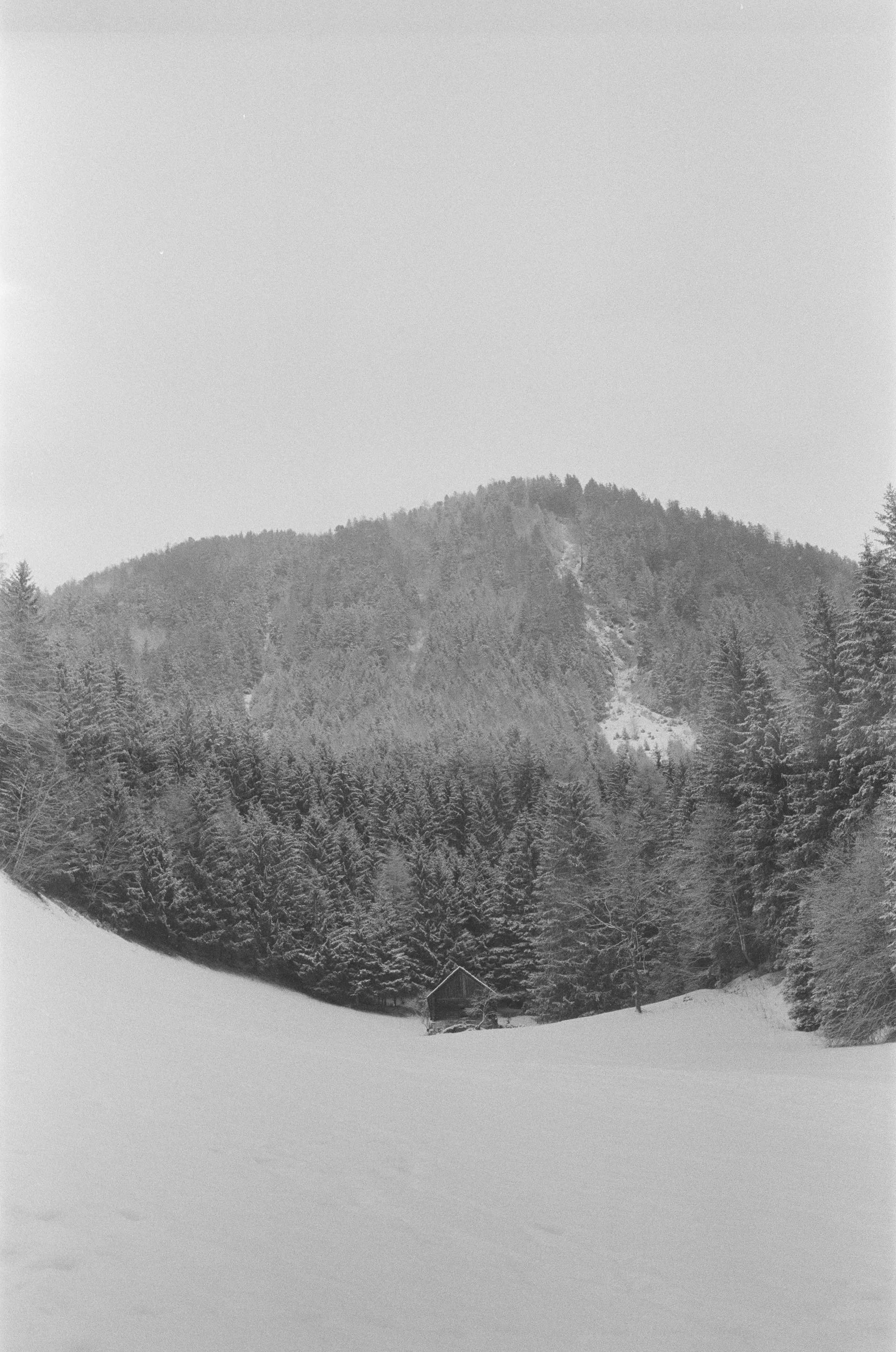 73430002.jpg