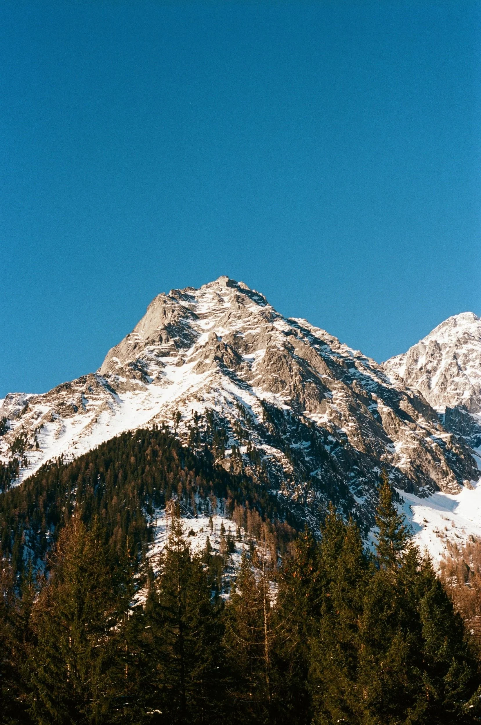 27460008.jpg