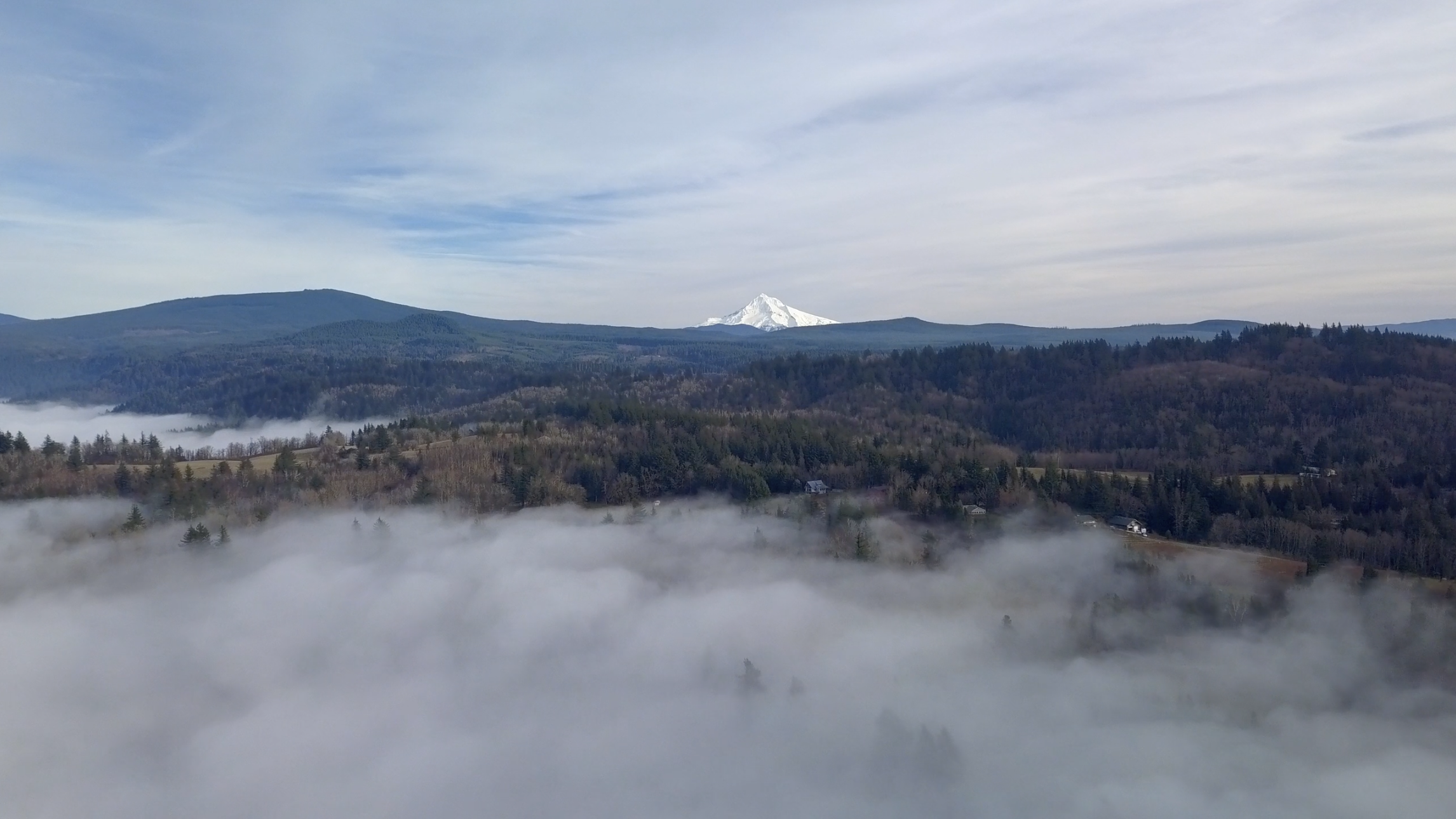 Screenshot 2026-02-18 at 1.57.52 PM.png