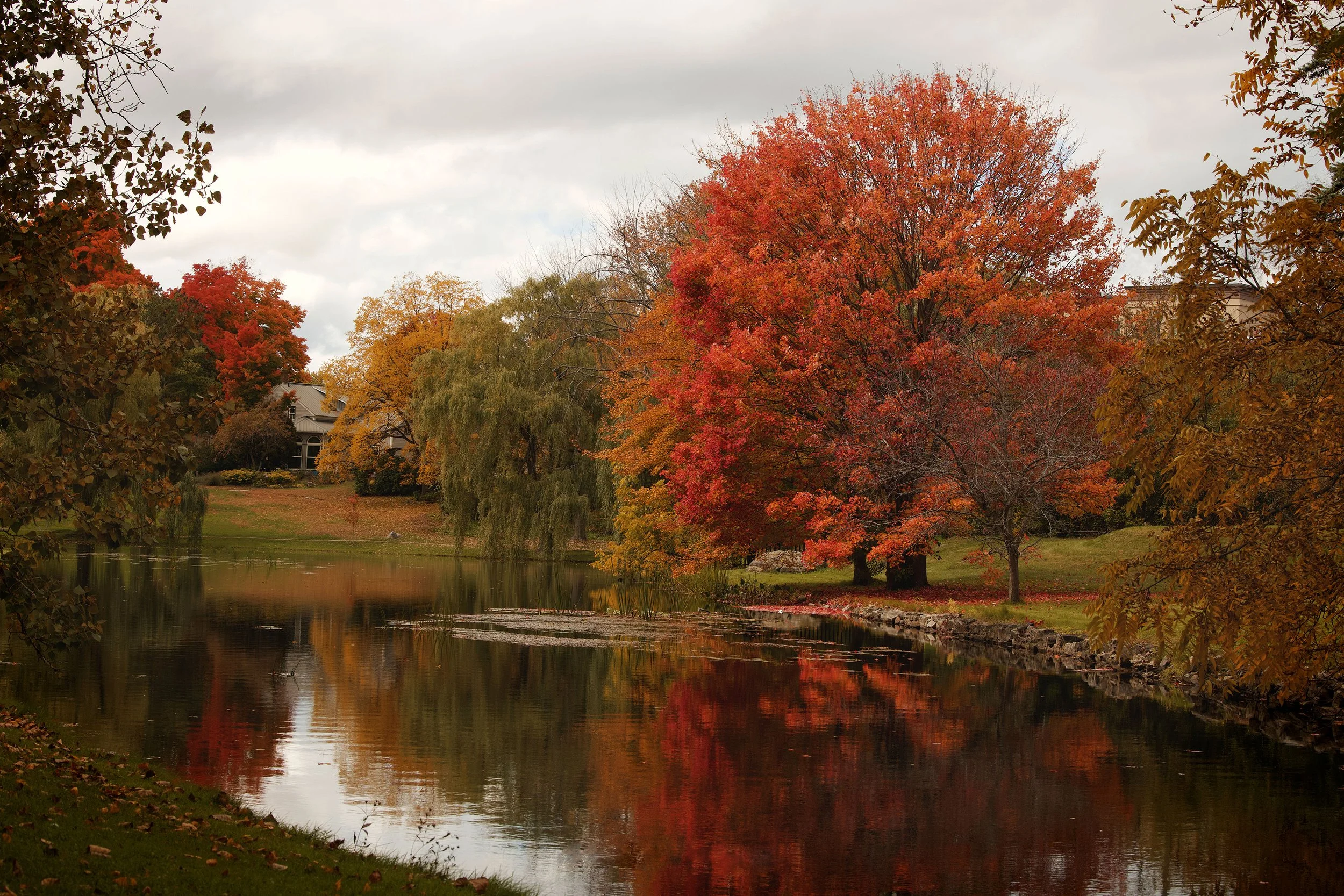 morrow m 24 copy.jpg